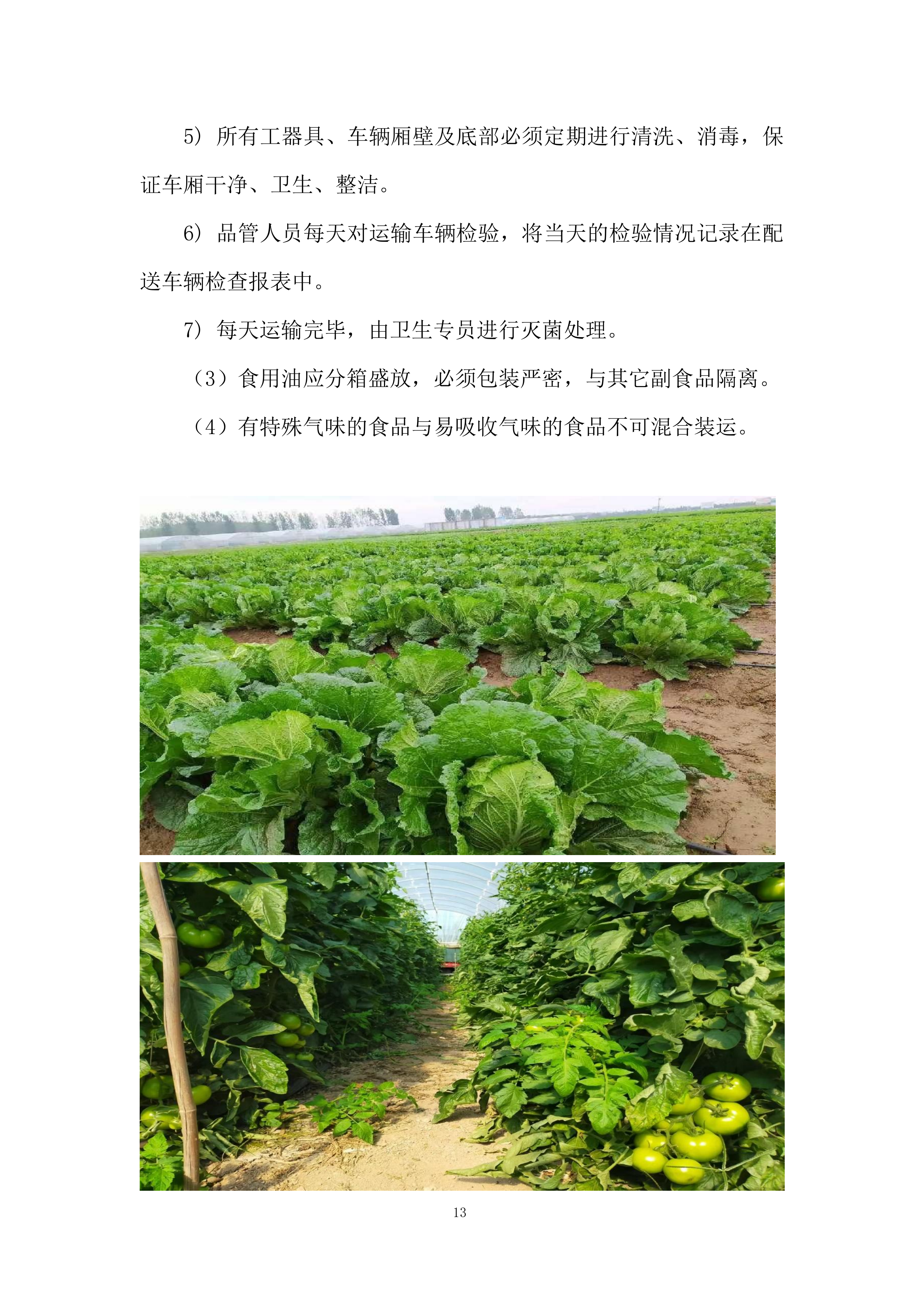 食材采购投标方案229页.docx 第13页