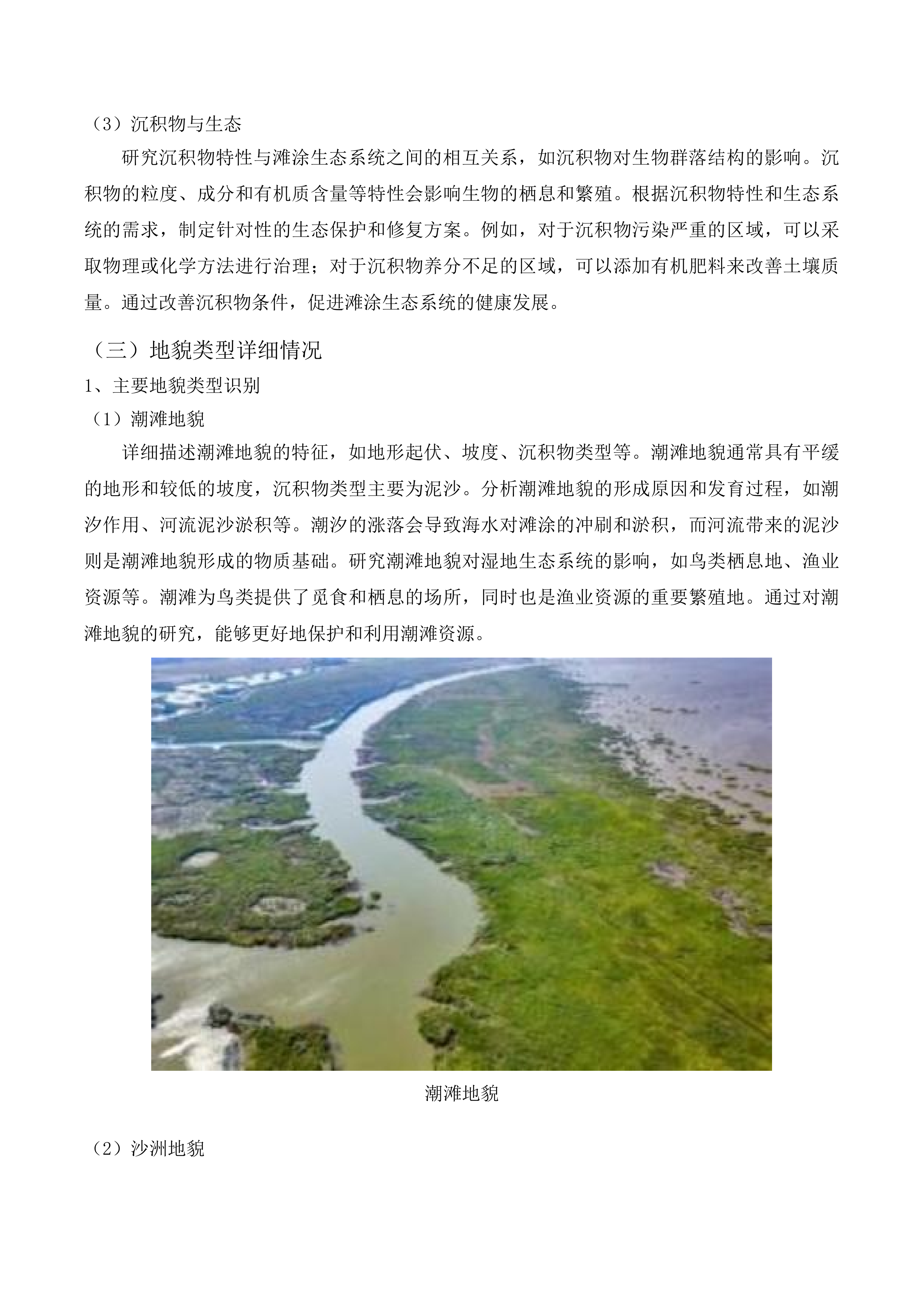 广州市海洋生态保护修复工程项目（跟踪监测）投标方案.docx 第11页