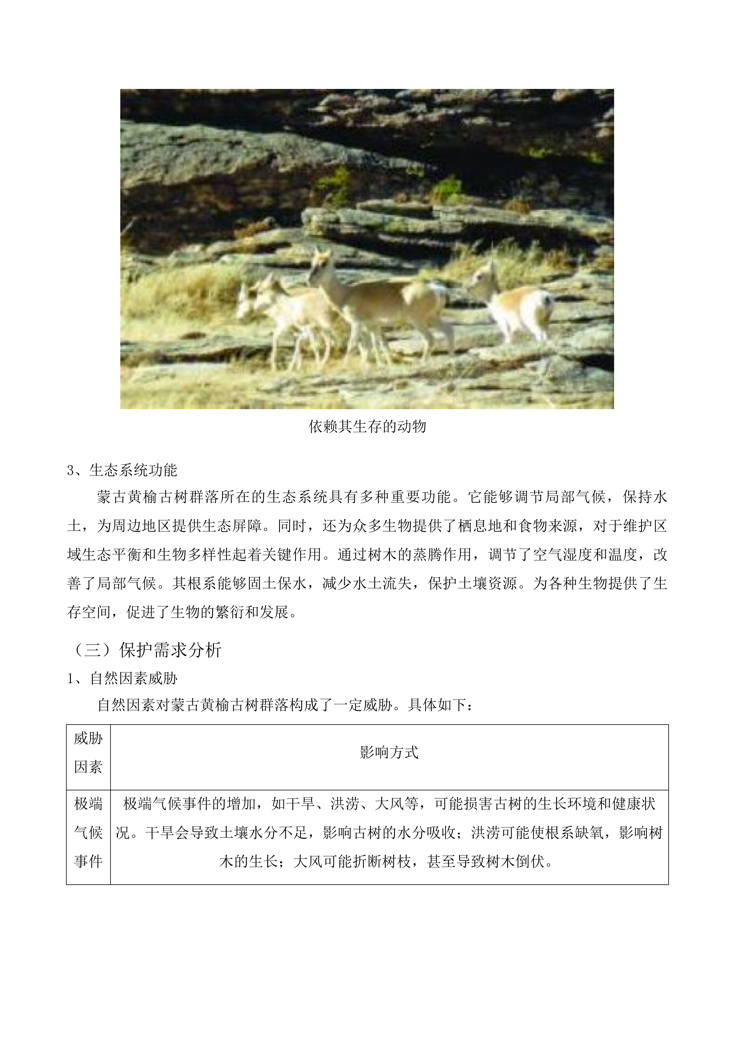 吉林向海国家级自然保护区蒙古黄榆古树群落保护项目投标方案.docx 第12页