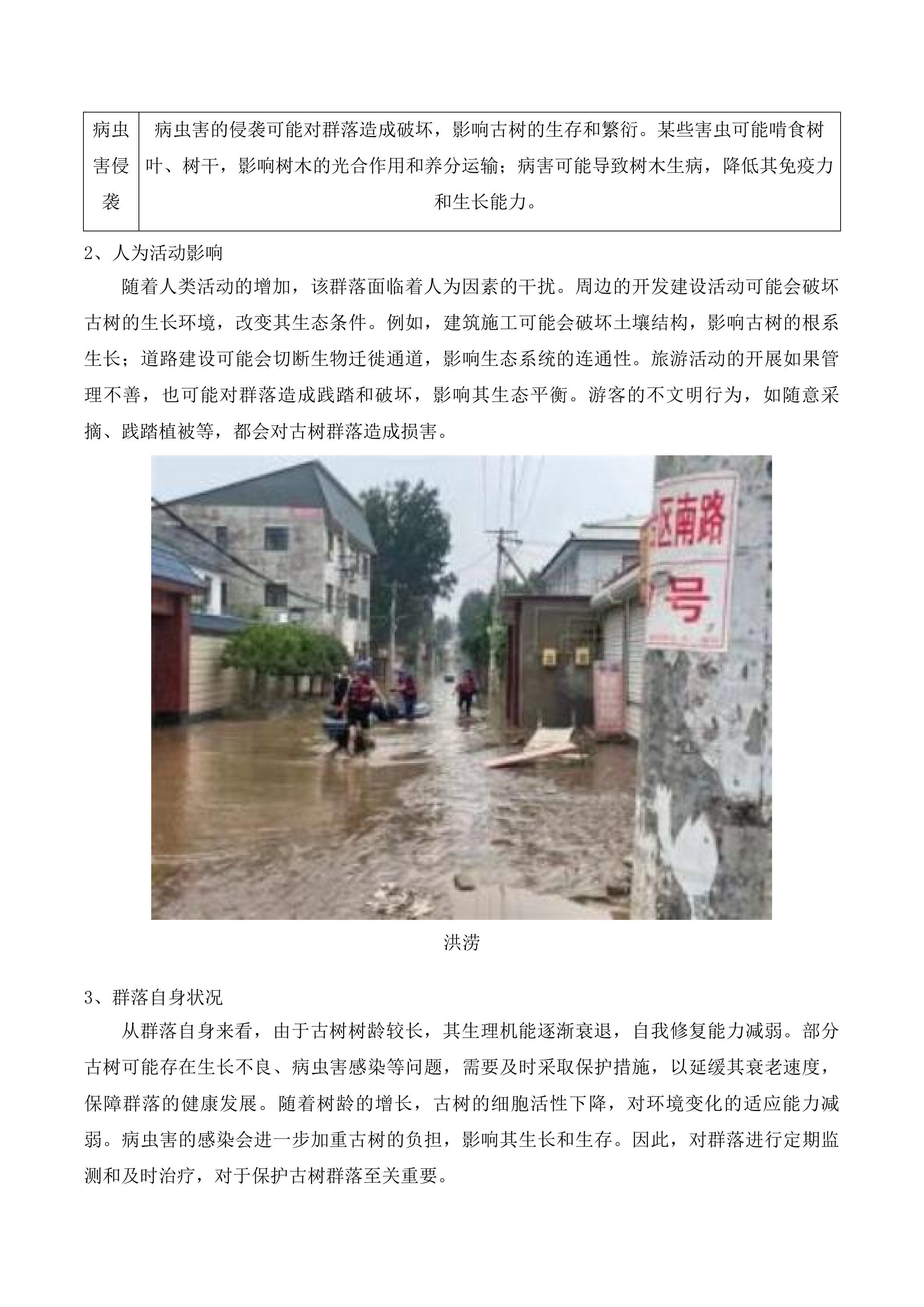 吉林向海国家级自然保护区蒙古黄榆古树群落保护项目投标方案.docx 第13页