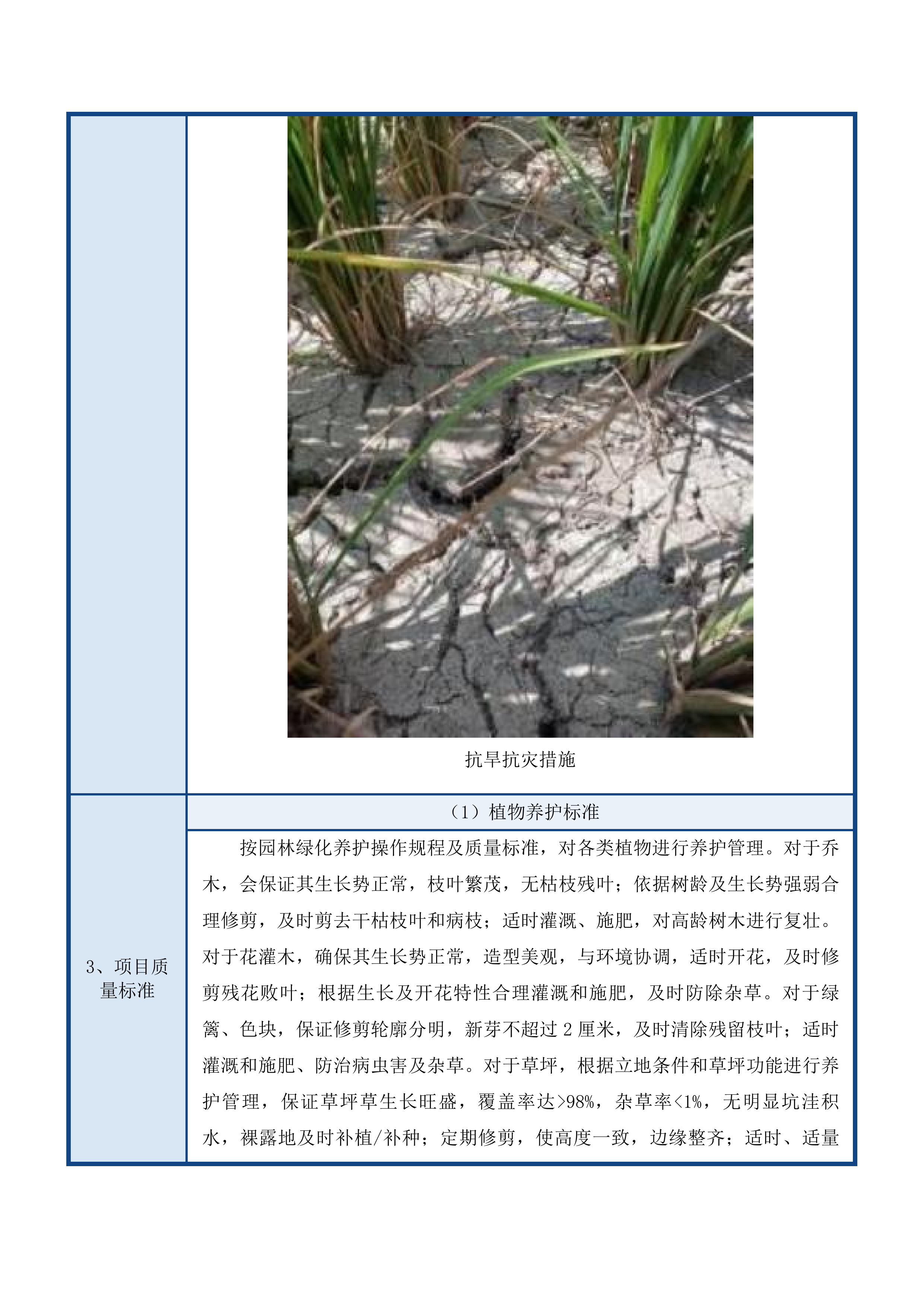 林东镇新城区路网、机关单位、市民公园及麓山公园绿化养护服务投标方案.docx 第12页