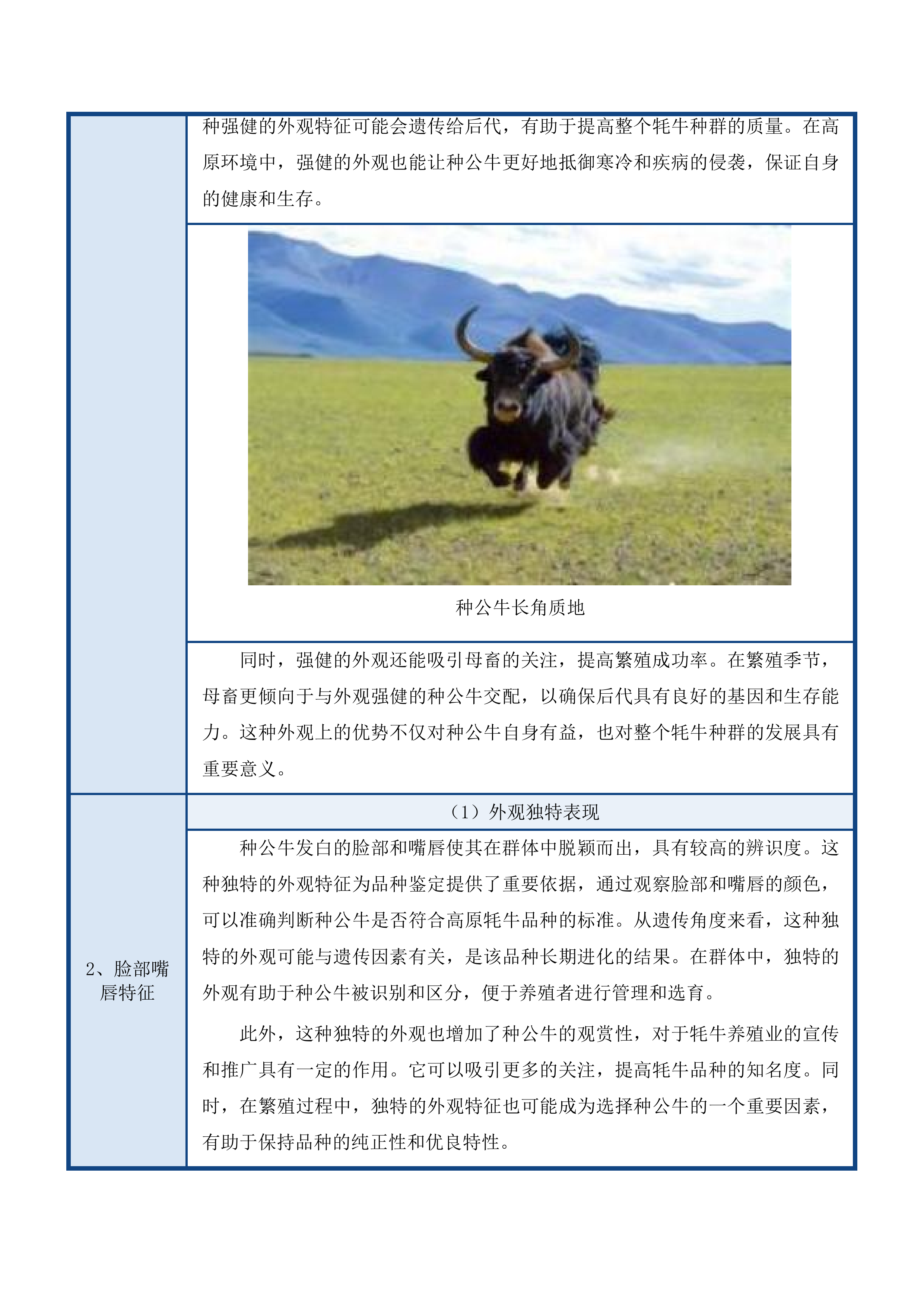 牦牛良种资源引进项目投标方案.docx 第8页