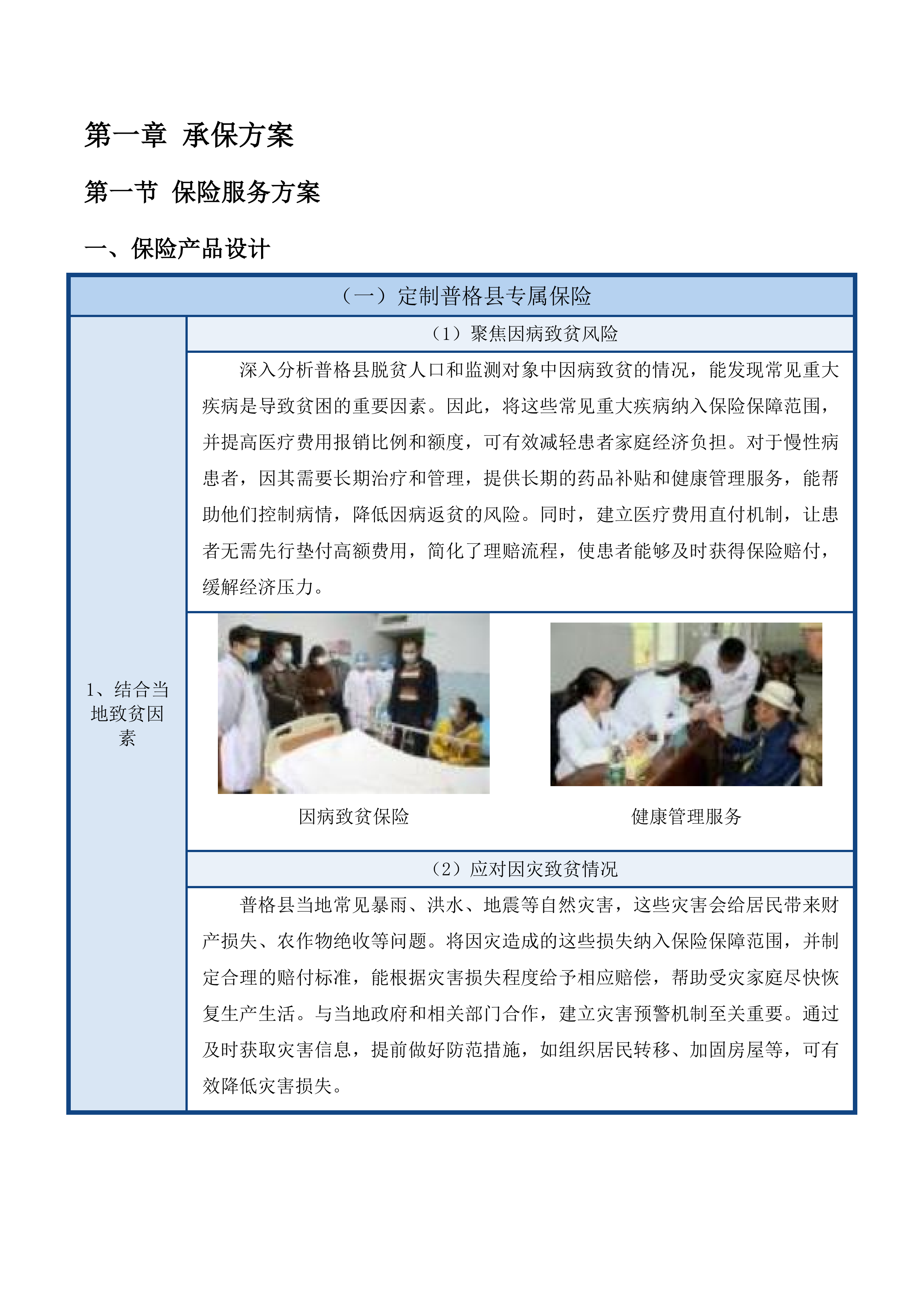 防止返贫政策性保险磋商文件投标方案.docx 第10页