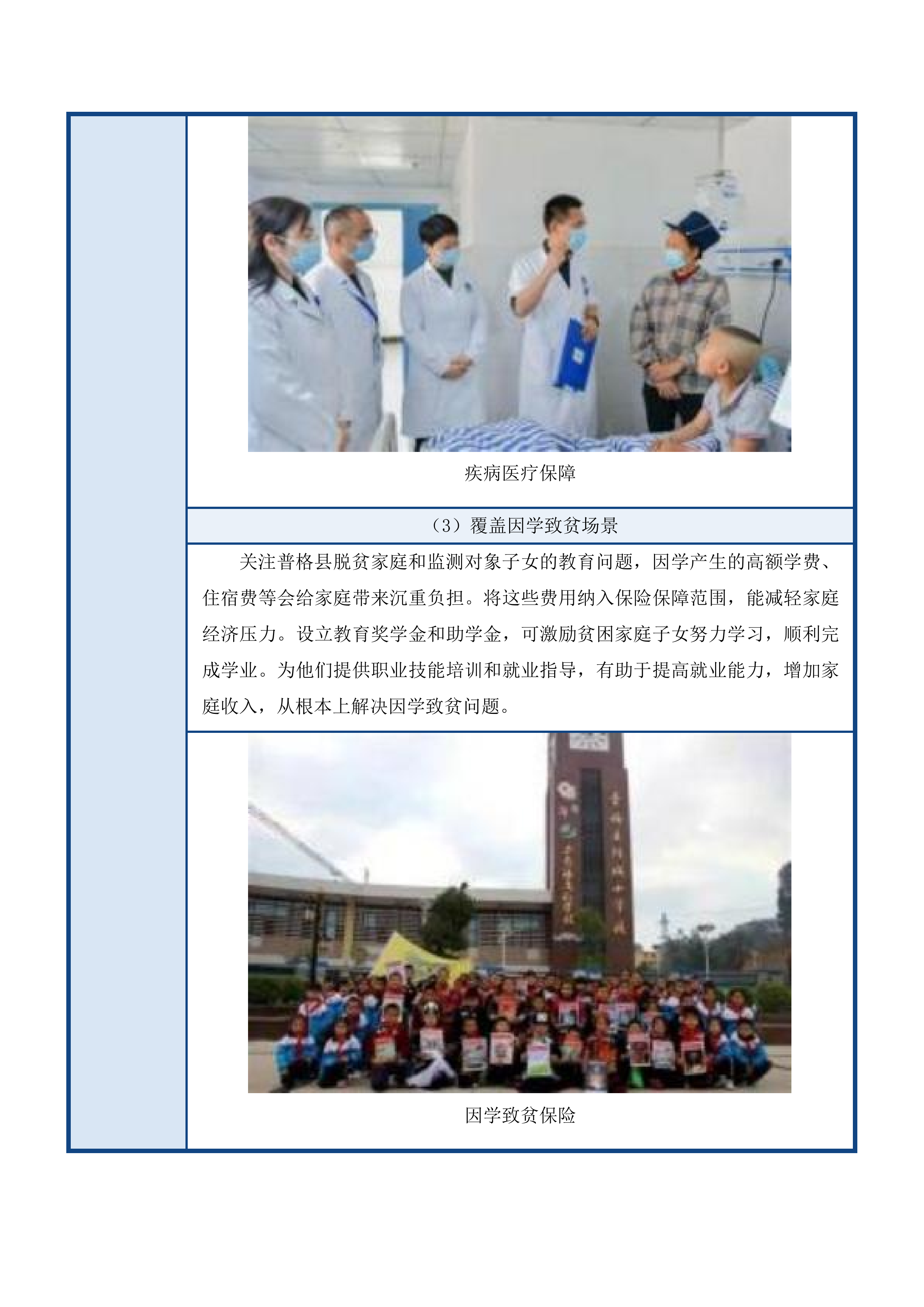 防止返贫政策性保险磋商文件投标方案.docx 第11页