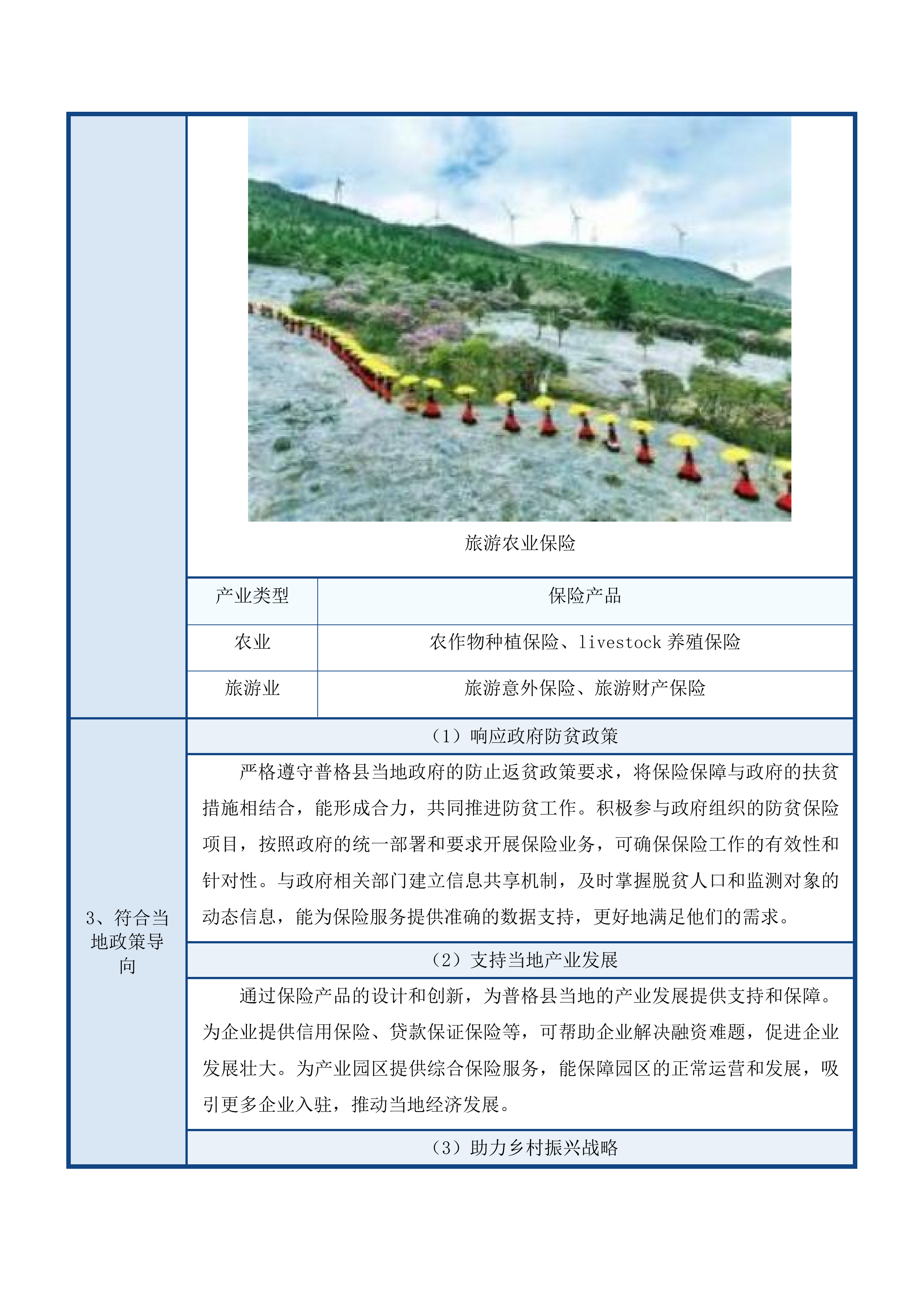 防止返贫政策性保险磋商文件投标方案.docx 第13页