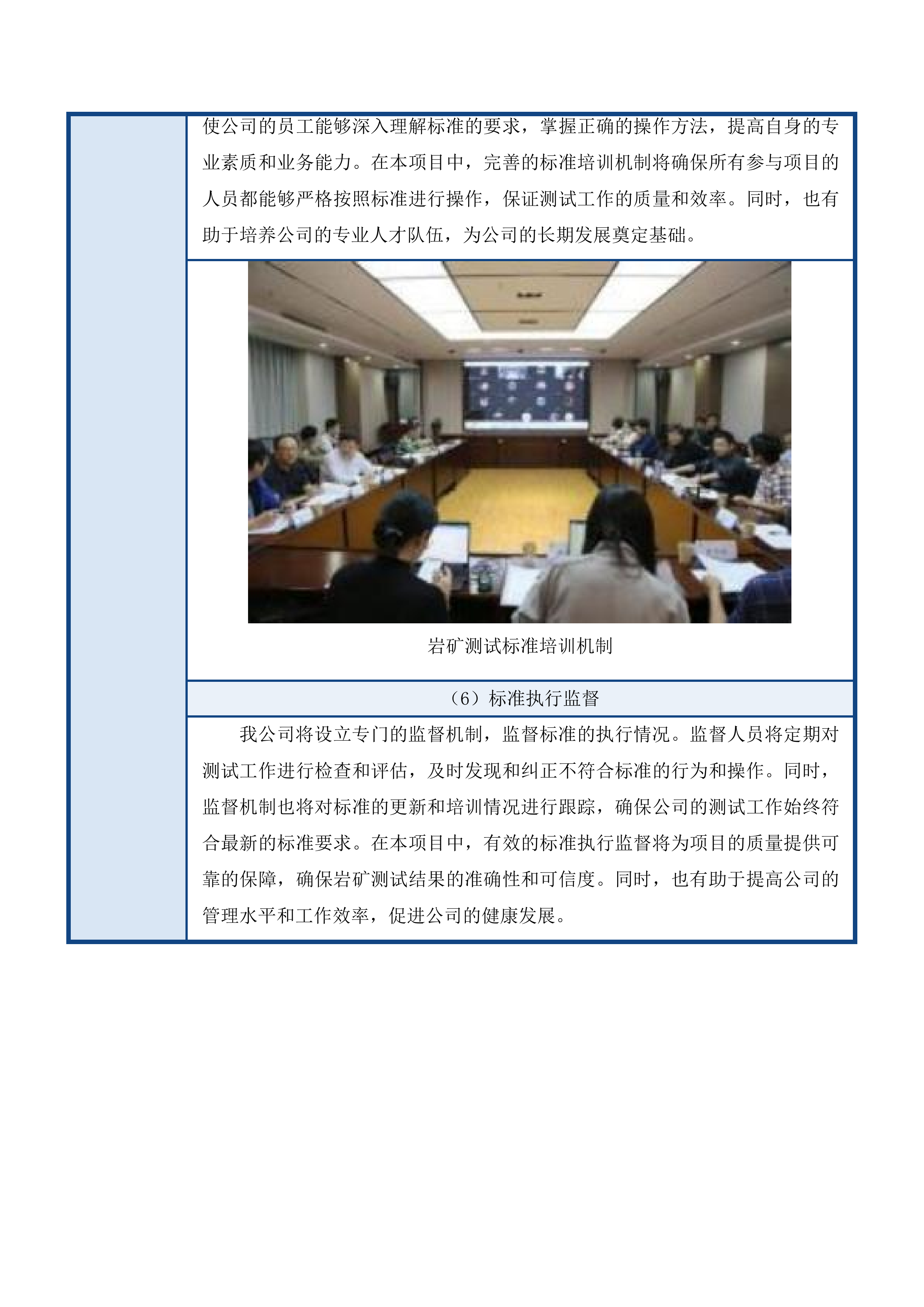 2025年度岩矿测试服务投标方案.docx 第12页