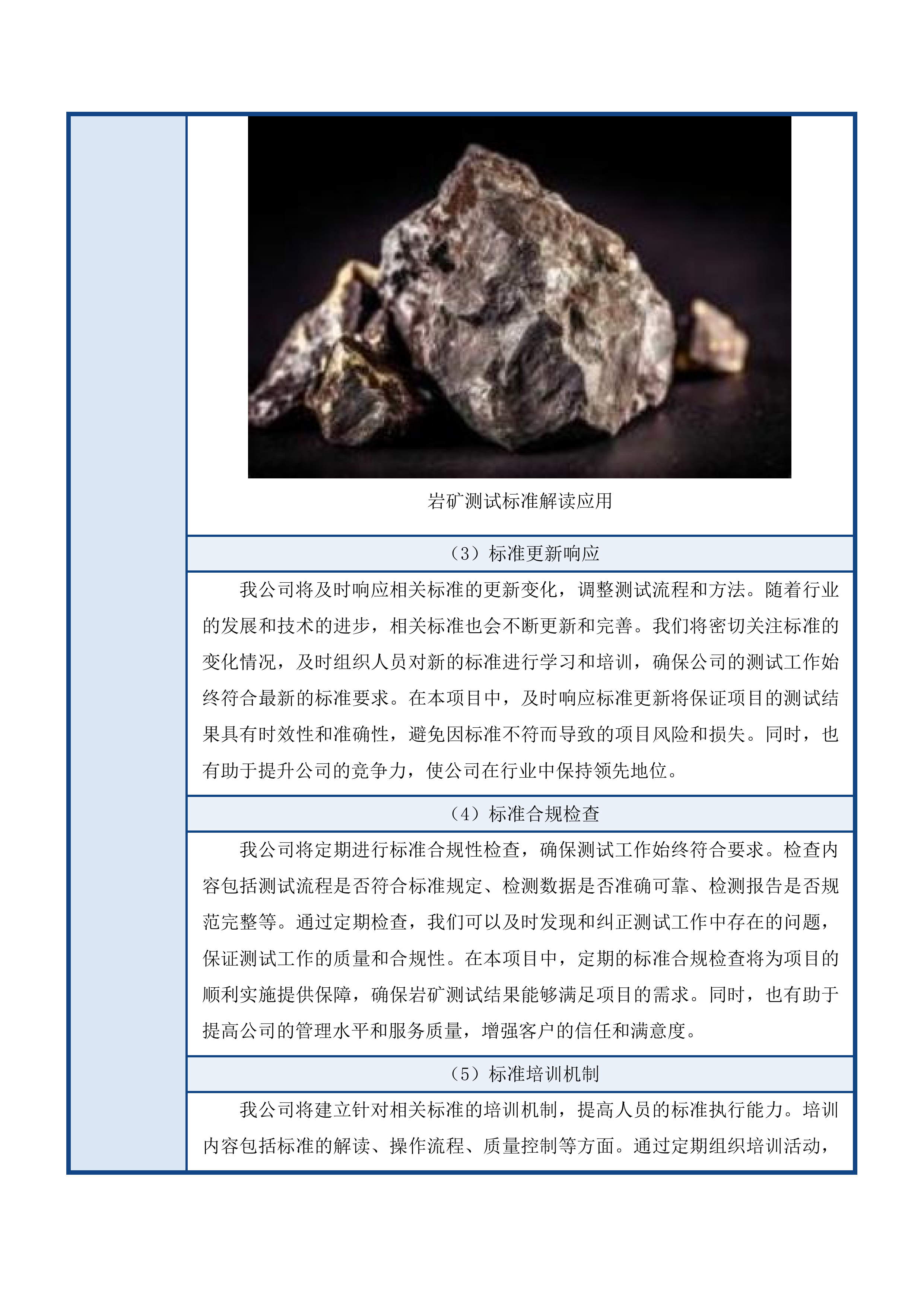 2025年度岩矿测试服务投标方案.docx 第11页