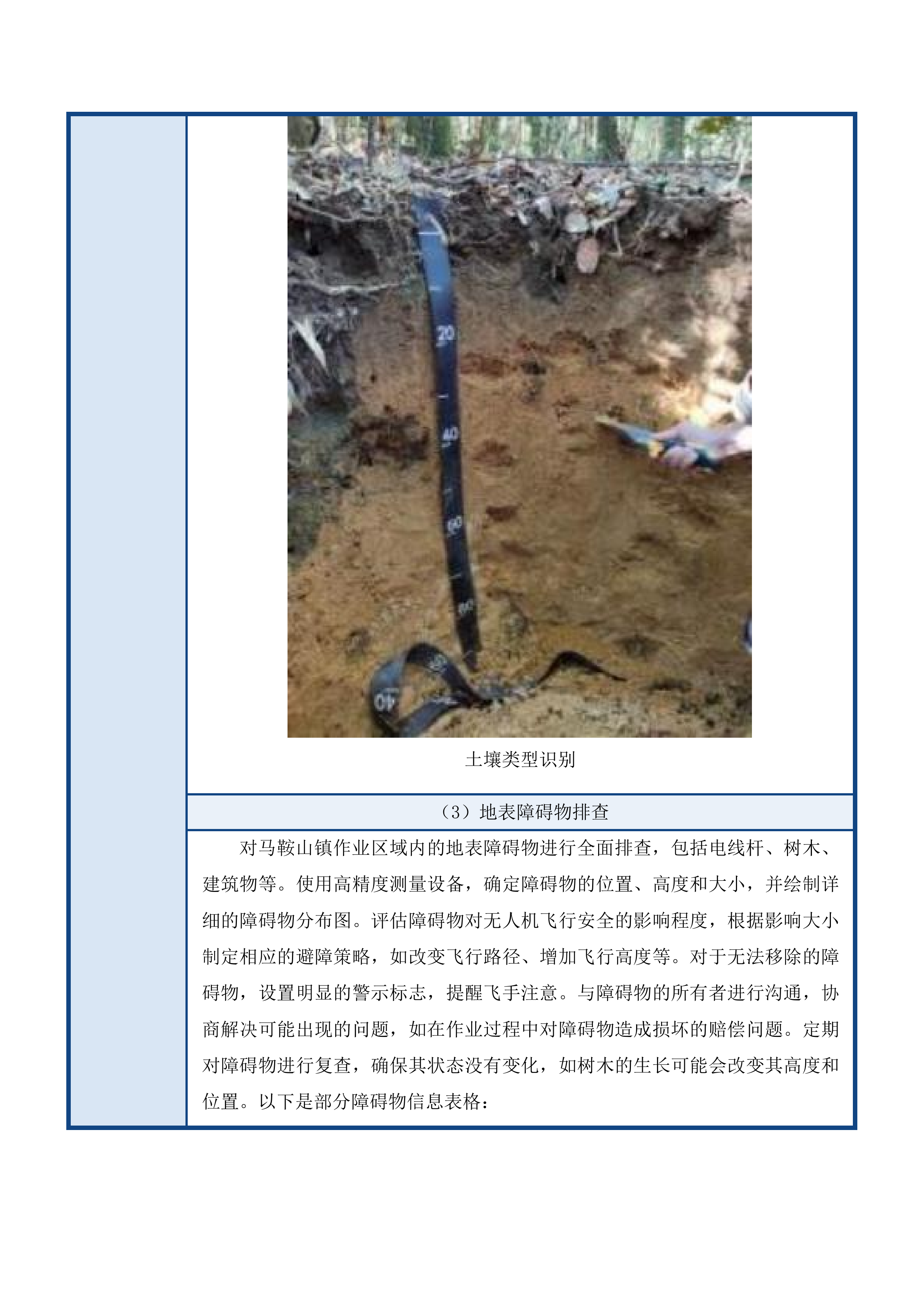 伊通满族自治县2025年绿色高产高效项目采购投标方案.docx 第9页