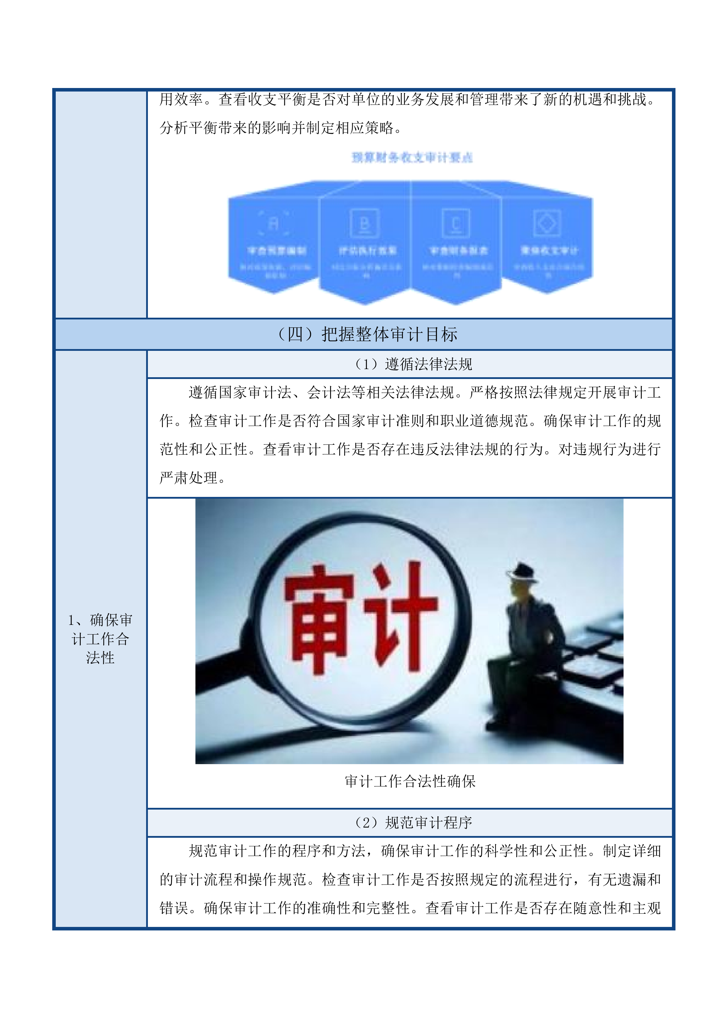 预算执行情况和财务收支情况审计投标方案.docx 第13页