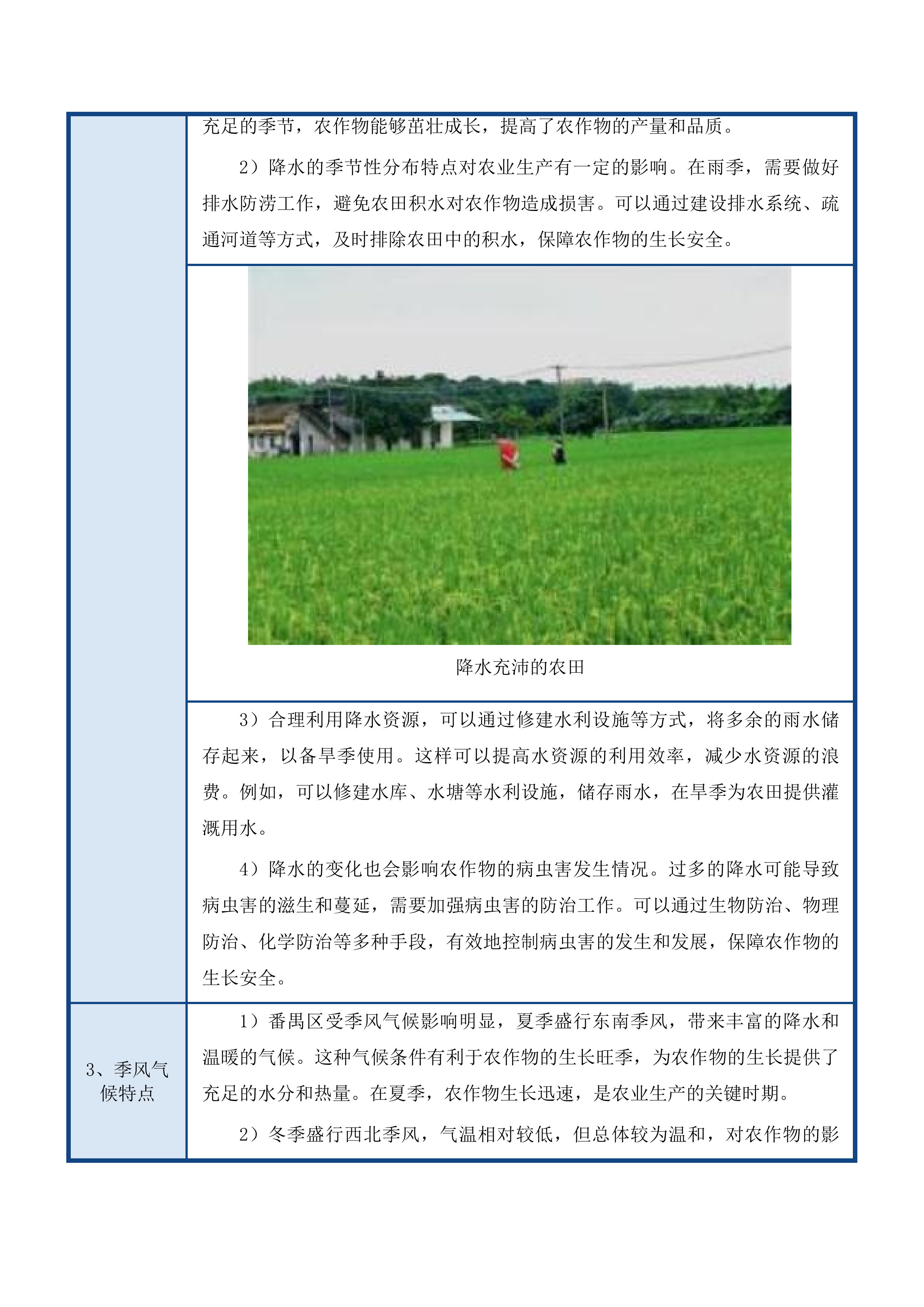 广州市番禺区全域土地综合整治永久基本农田调整补划方案技术服务项目投标方案.docx 第13页