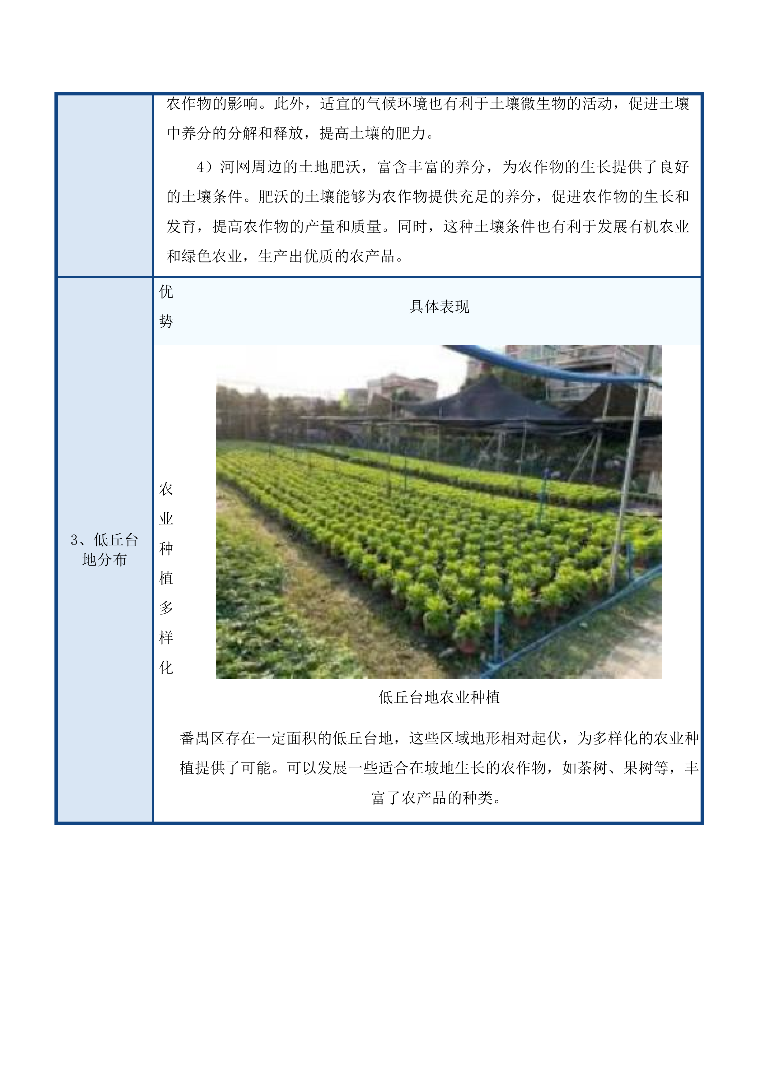 广州市番禺区全域土地综合整治永久基本农田调整补划方案技术服务项目投标方案.docx 第9页