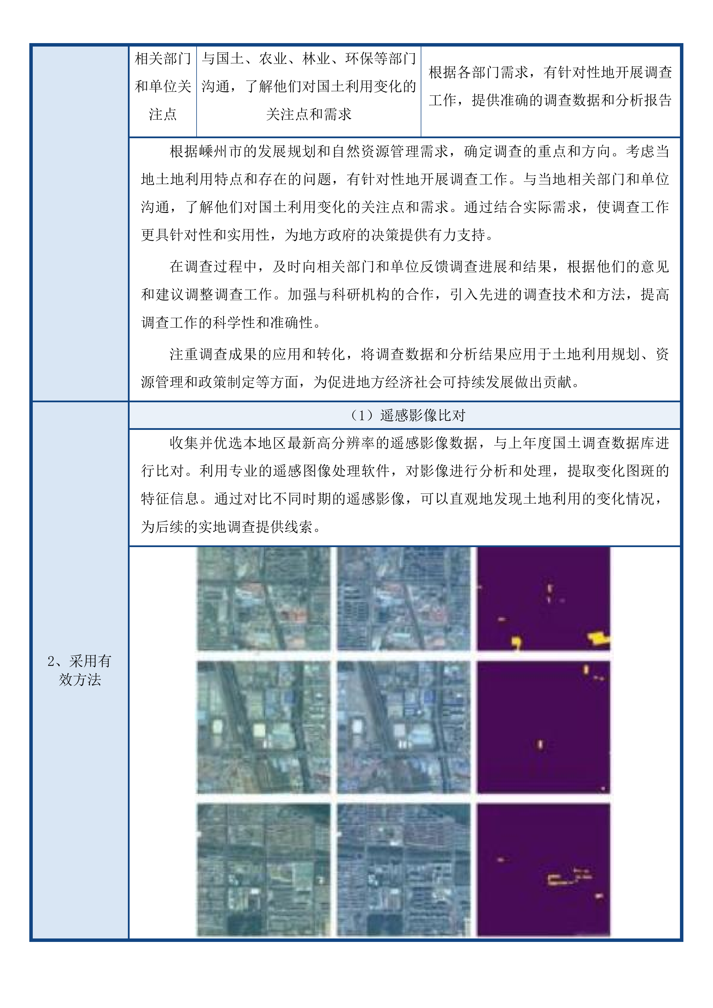 嵊州市2025年度国土变更调查工作项目投标方案.docx 第11页