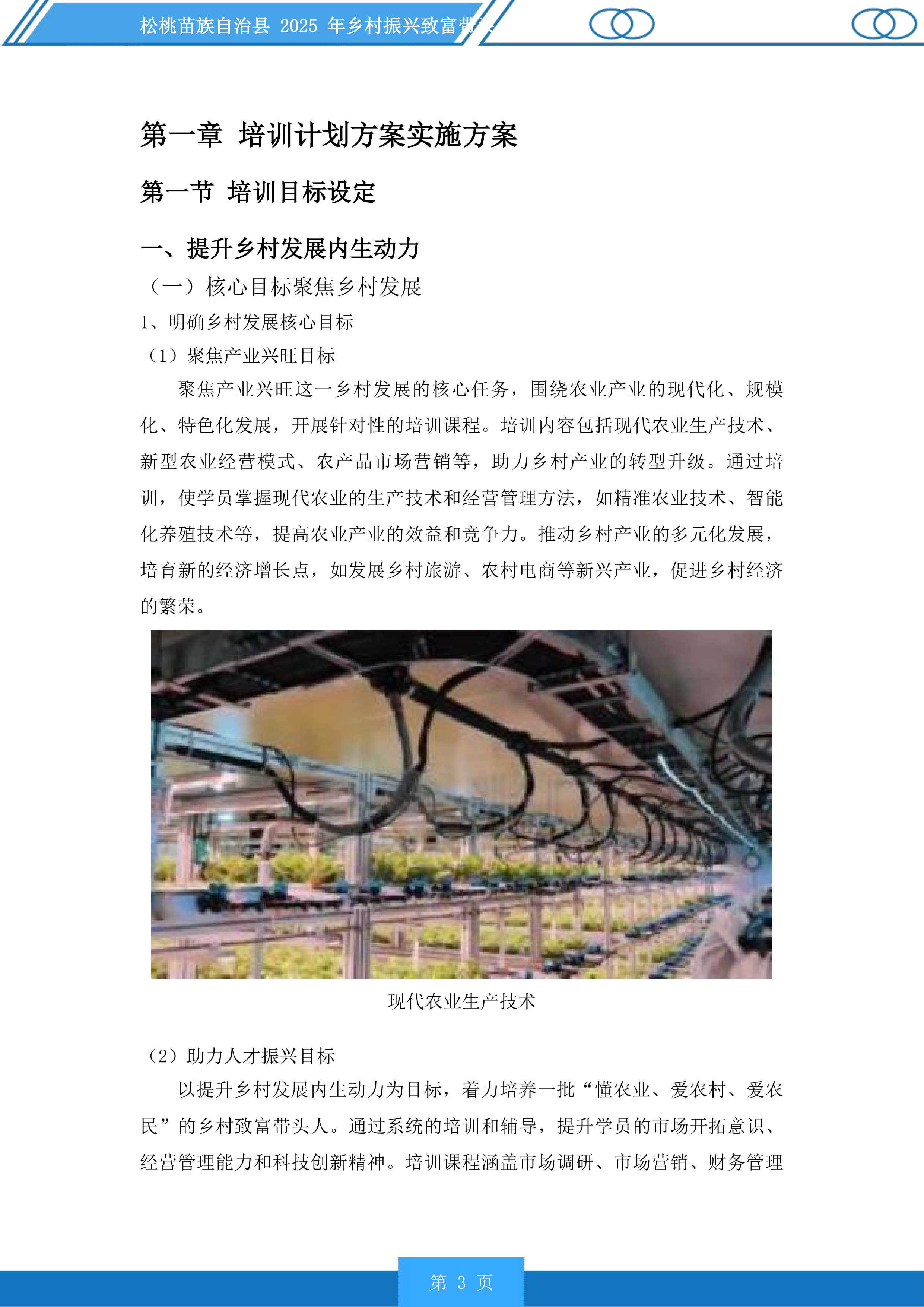 松桃苗族自治县2025年乡村振兴致富带头人培训投标方案.docx 第3页