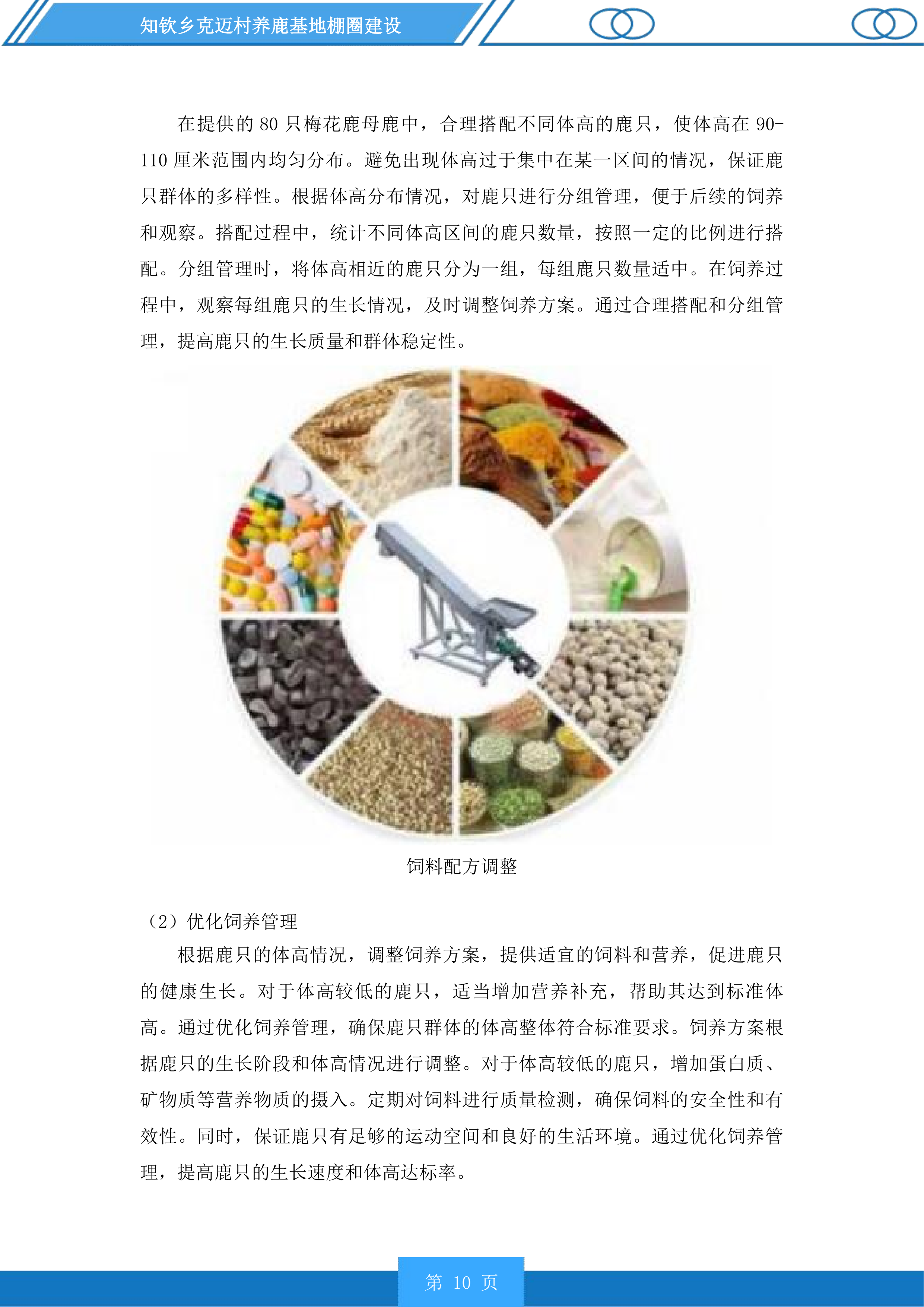 知钦乡克迈村养鹿基地棚圈建设投标方案.docx 第10页