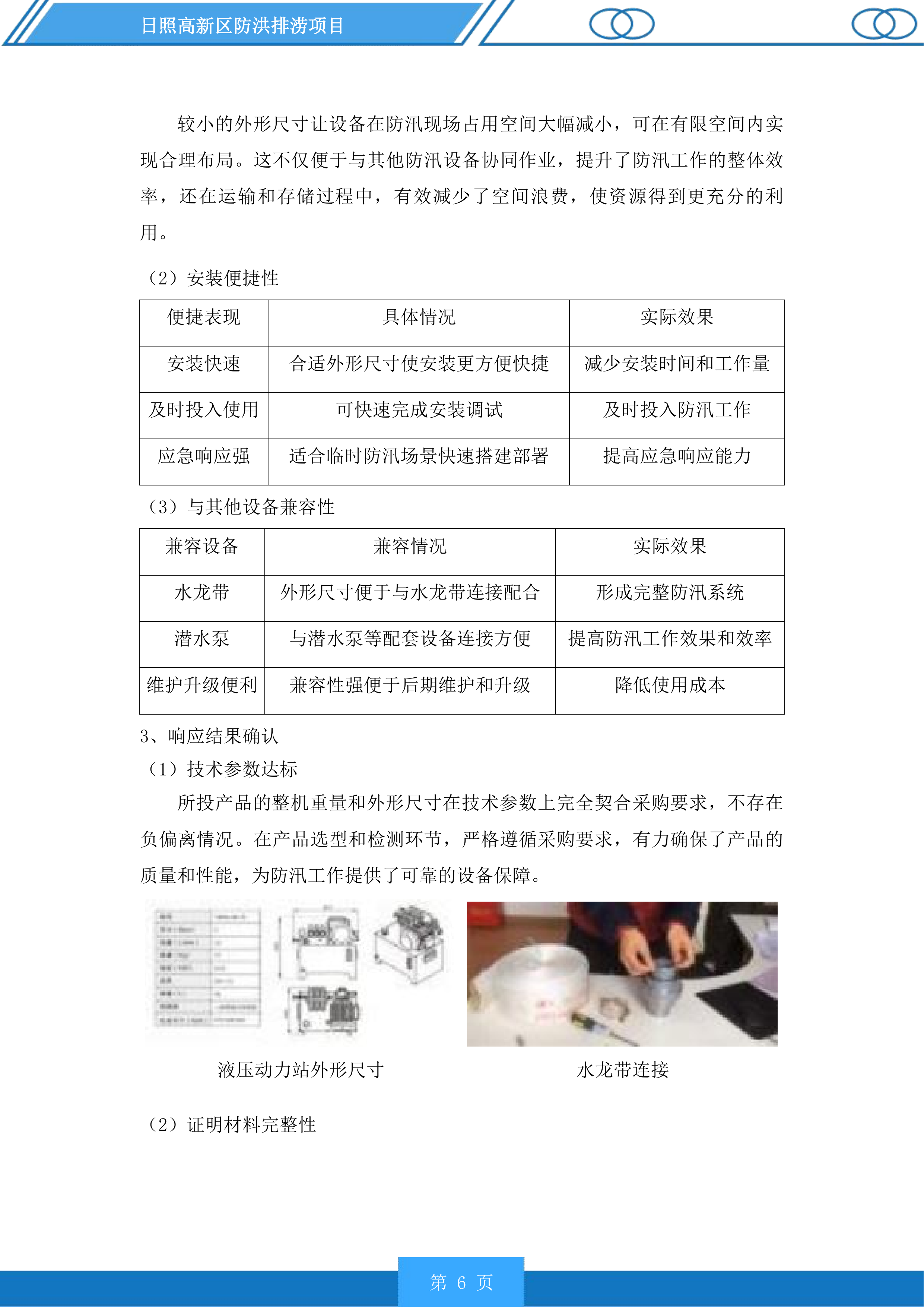 日照高新区防洪排涝项目投标方案.docx 第6页