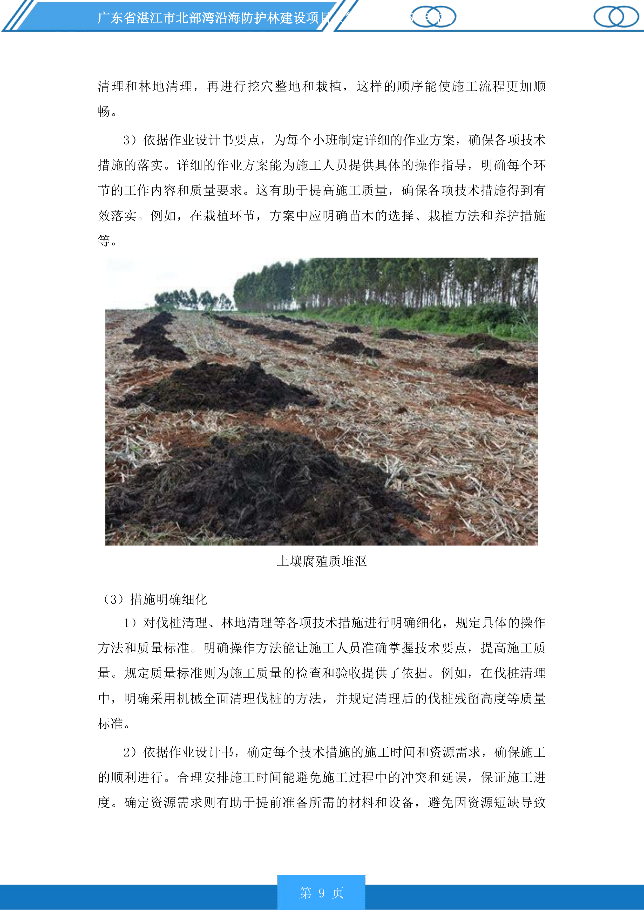 广东省湛江市北部湾沿海防护林建设项目徐闻县2025年林分优化提升投标方案.docx 第9页