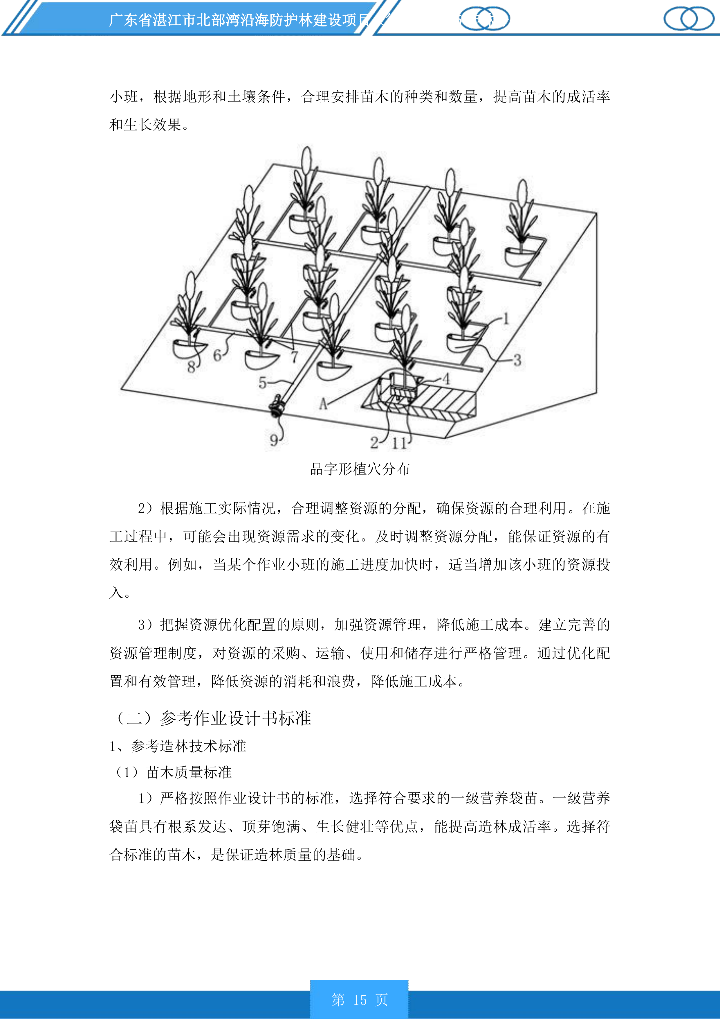 广东省湛江市北部湾沿海防护林建设项目徐闻县2025年林分优化提升投标方案.docx 第15页