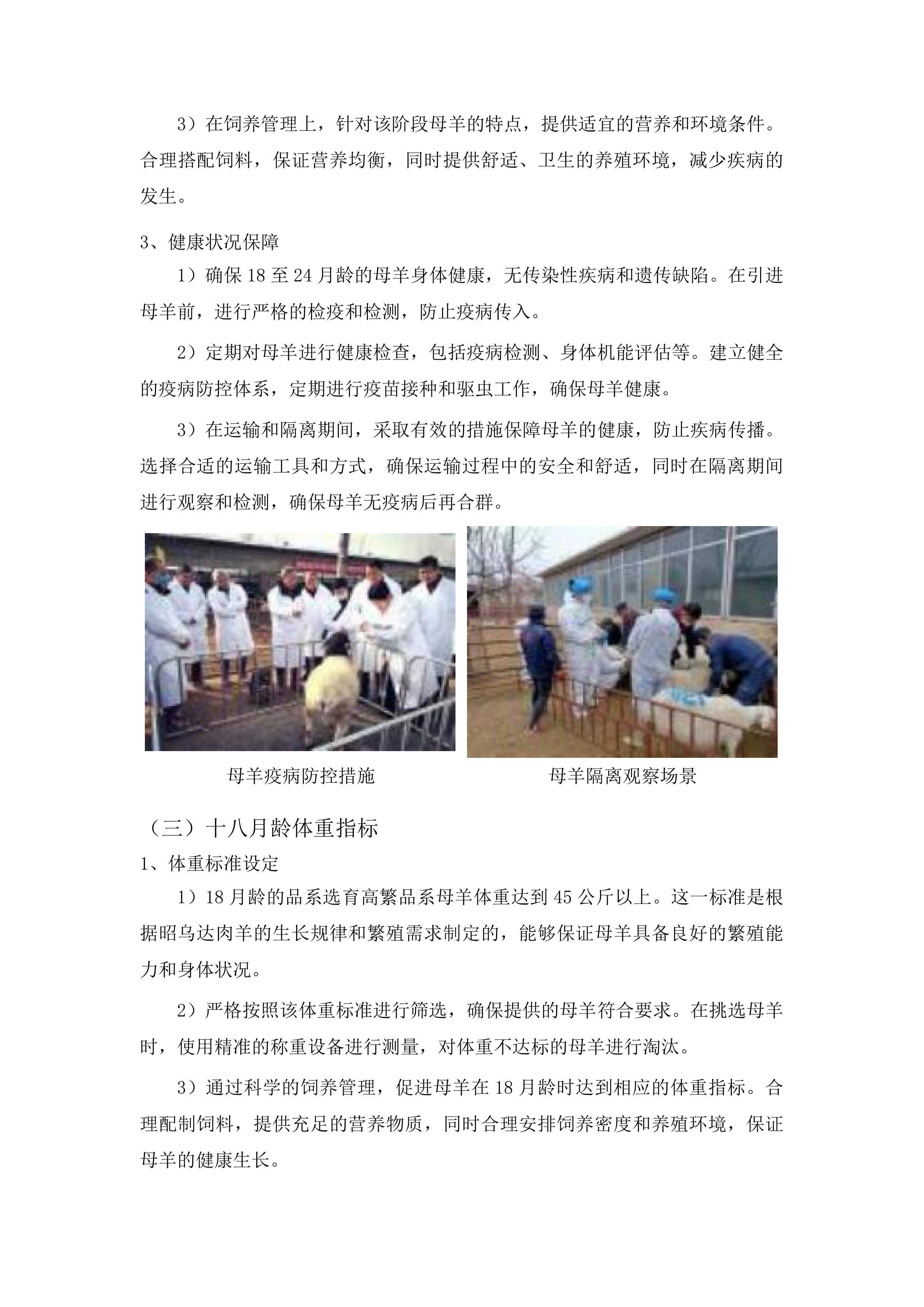 内蒙古自治区克什克腾旗现代农业产业园创建项目种羊购买种质资源引进品系选育投标方案.docx 第11页