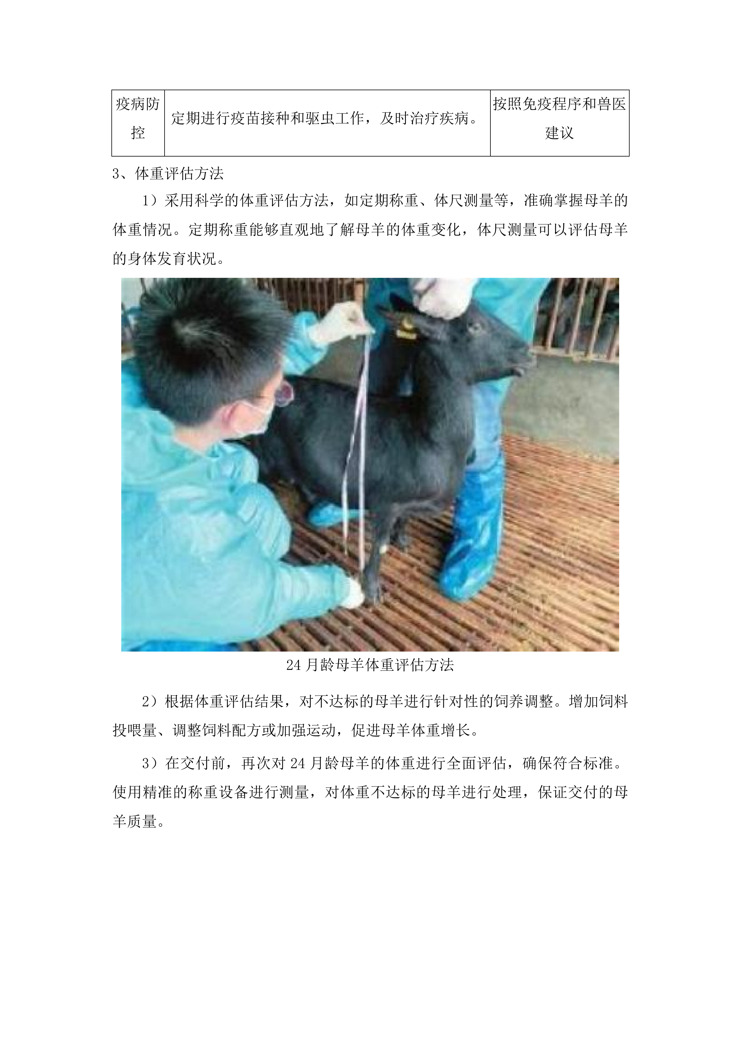 内蒙古自治区克什克腾旗现代农业产业园创建项目种羊购买种质资源引进品系选育投标方案.docx 第15页