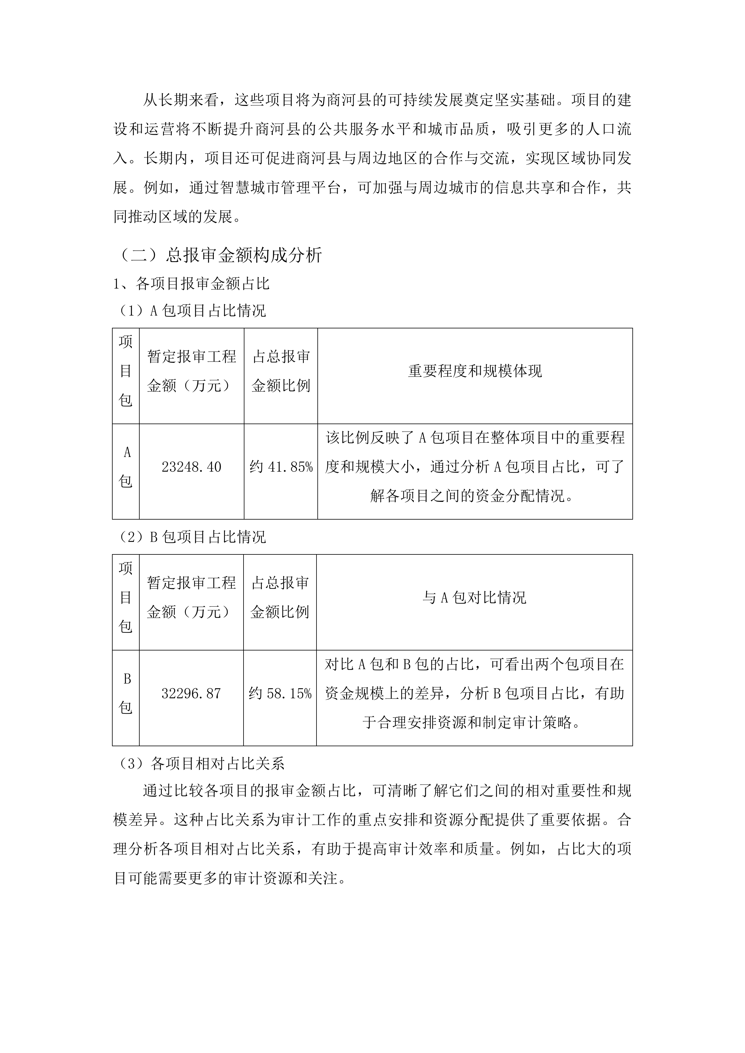 商河县审计局部分重点项目审计服务第一批投标方案.docx 第12页