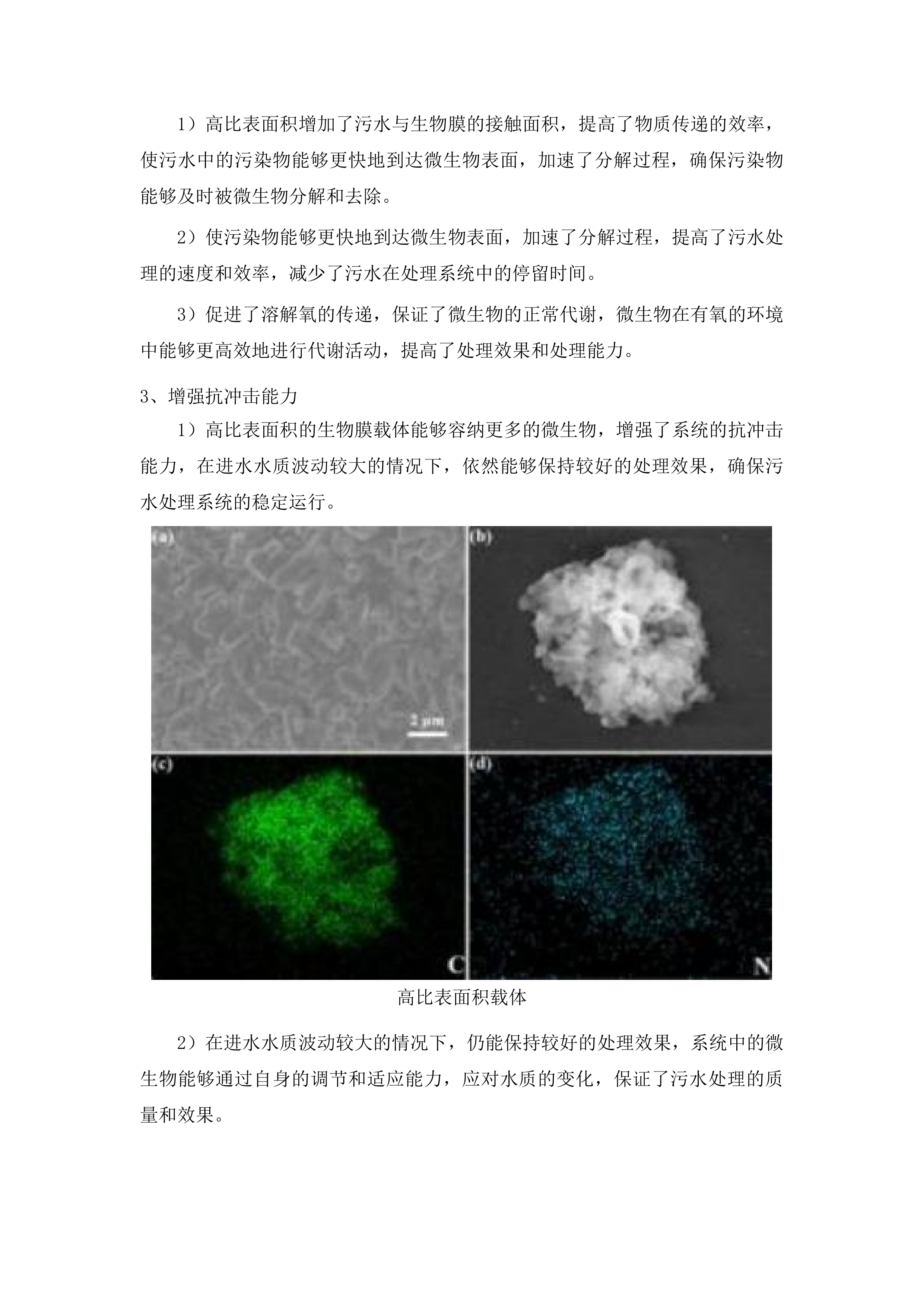 四会市仓丰一站排渠一体化污水处理站运营服务采购项目投标方案.docx 第12页