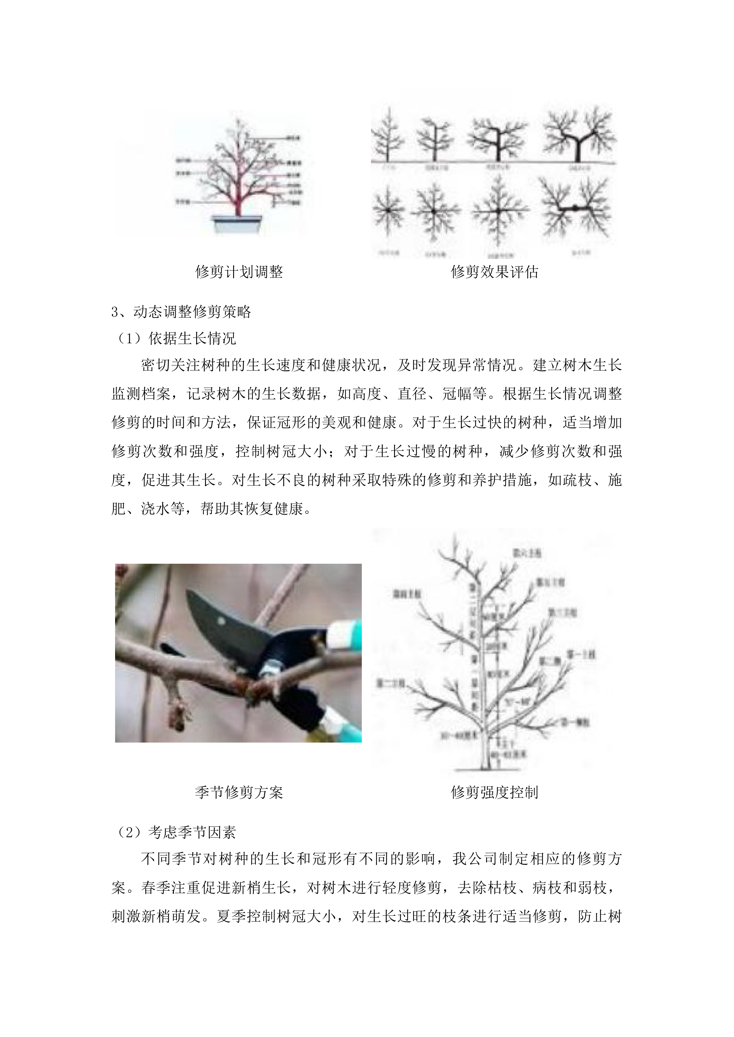东川工业园区绿化管护服务外包项目投标方案.docx 第10页