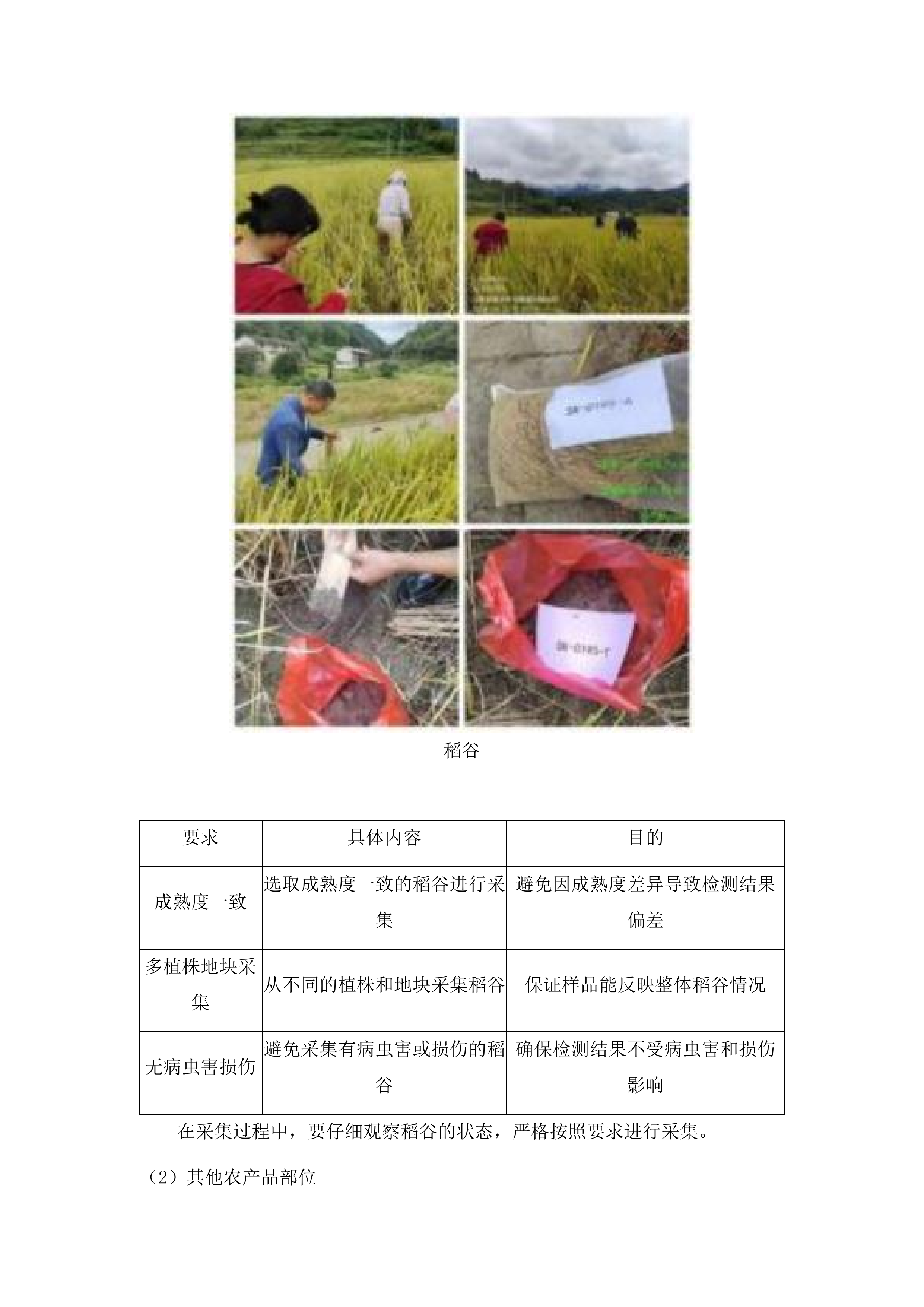 南宁市农用地安全利用技术支撑与效果评价项目投标方案.docx 第13页