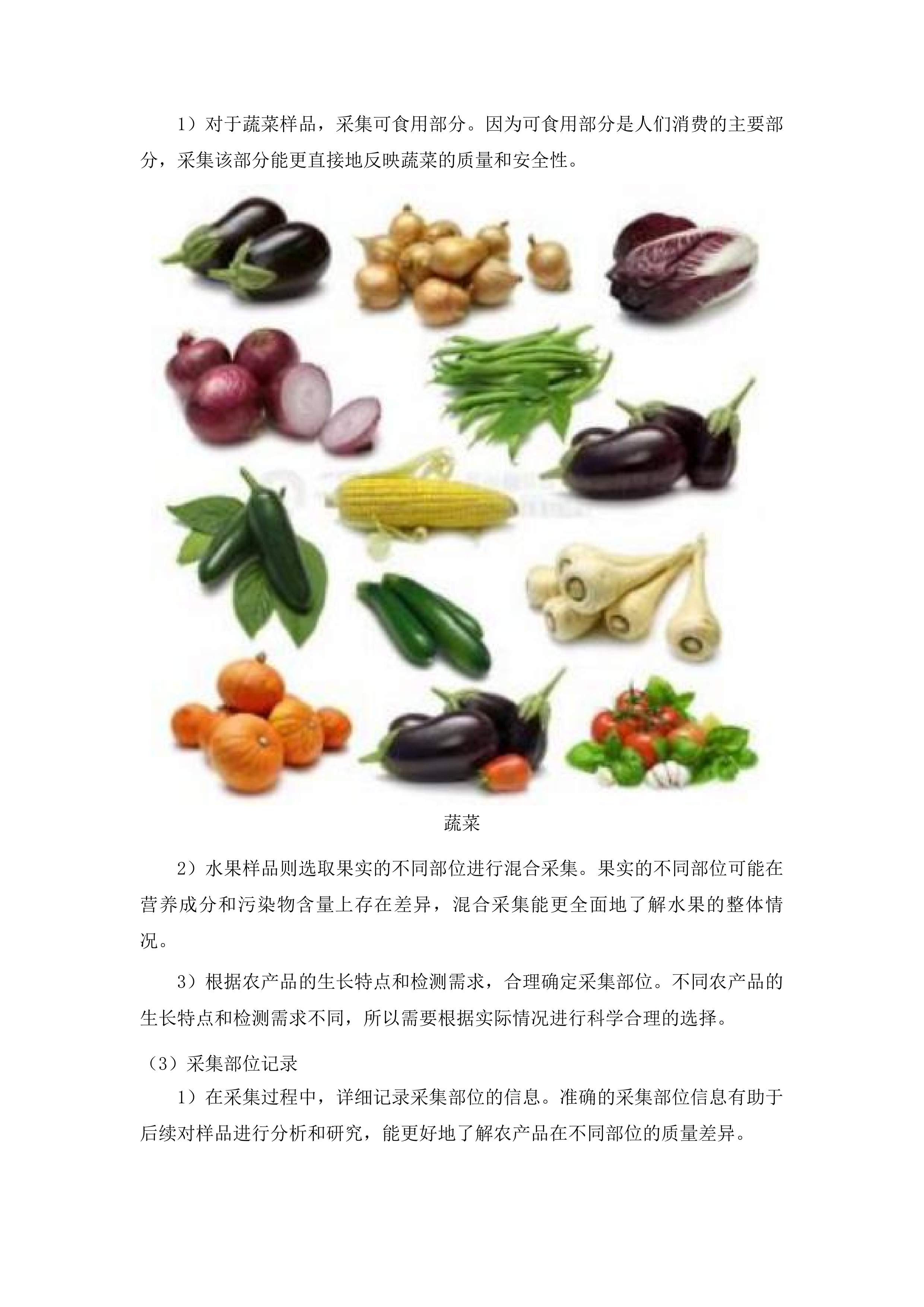 南宁市农用地安全利用技术支撑与效果评价项目投标方案.docx 第14页