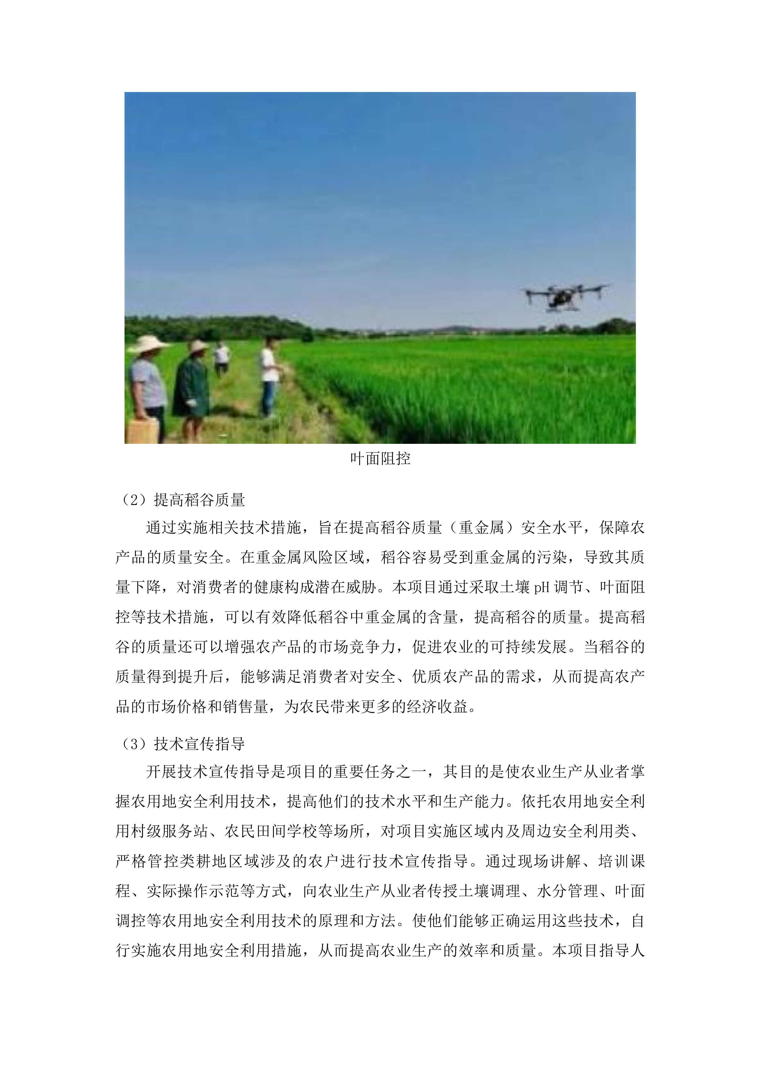 南宁市重金属风险区域农用地安全利用及技术宣传指导实施项目投标方案.docx 第10页