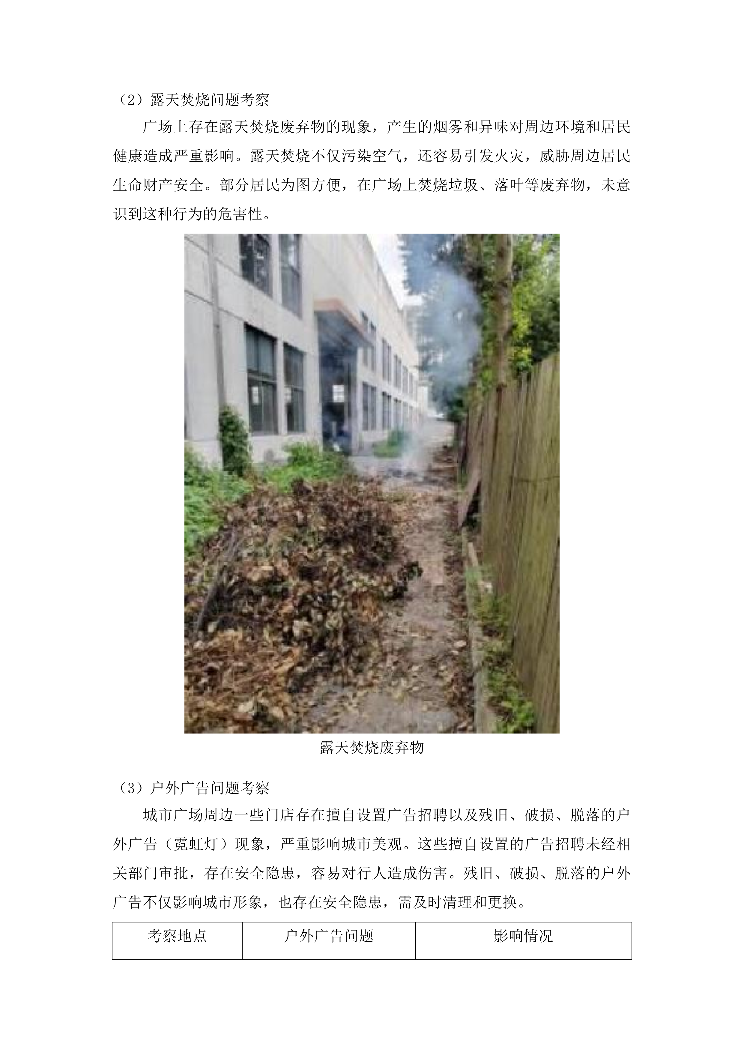 莞城街道2025年社区市容巡查服务外包项目投标方案.docx 第11页