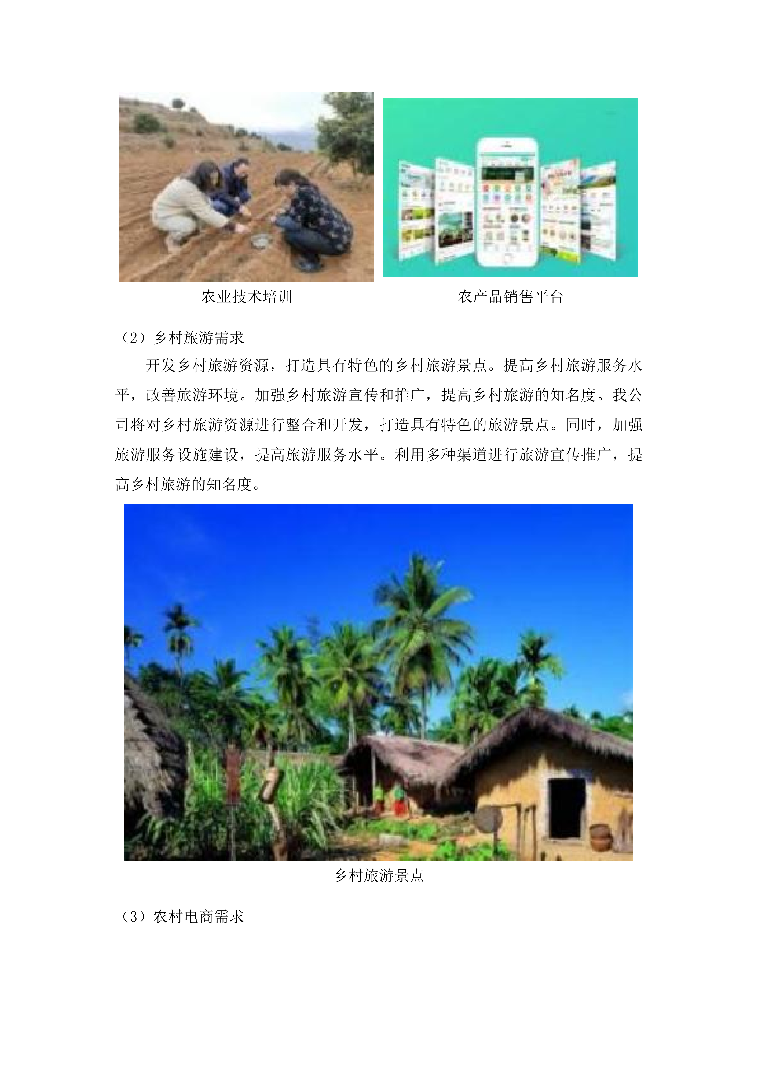 陵水黎族自治县“五好两宜”和美乡村试点试验惠民服务建设项目投标方案.docx 第9页