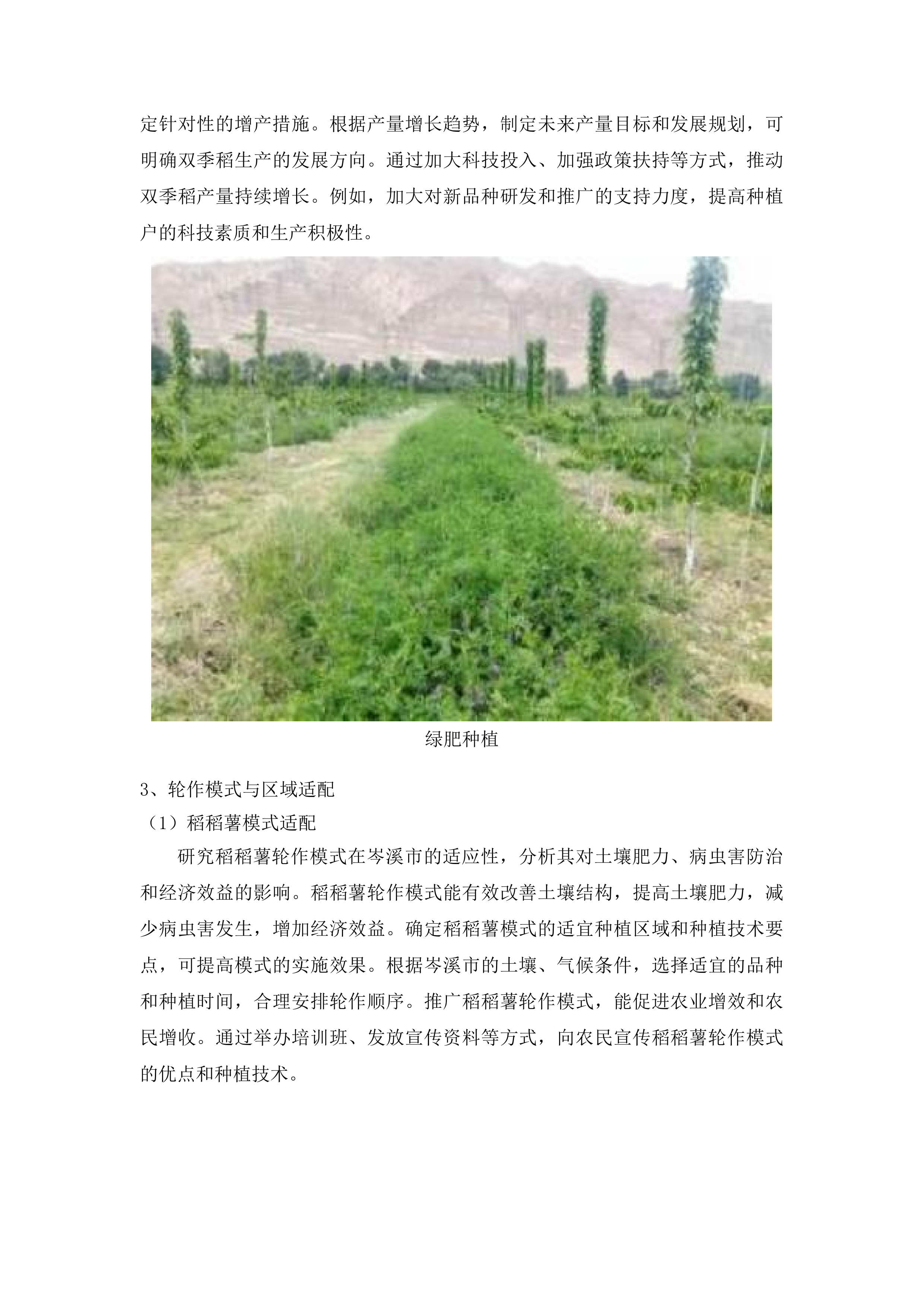 岑溪市2025年双季稻轮作补贴项目投标方案.docx 第9页