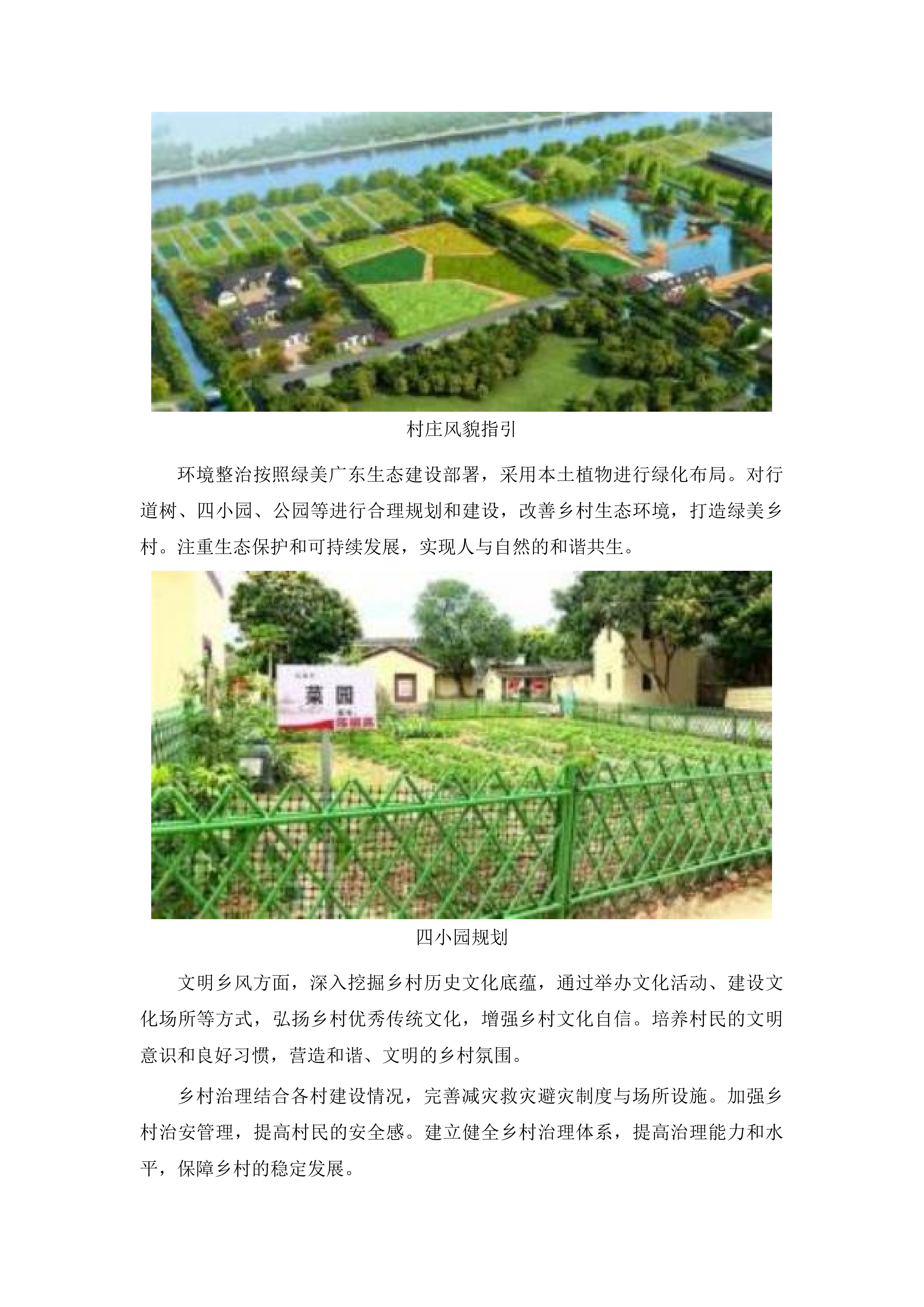 徐闻县第三批省级百县千镇万村高质量发展工程典型村建设规划编制投标方案.docx 第8页