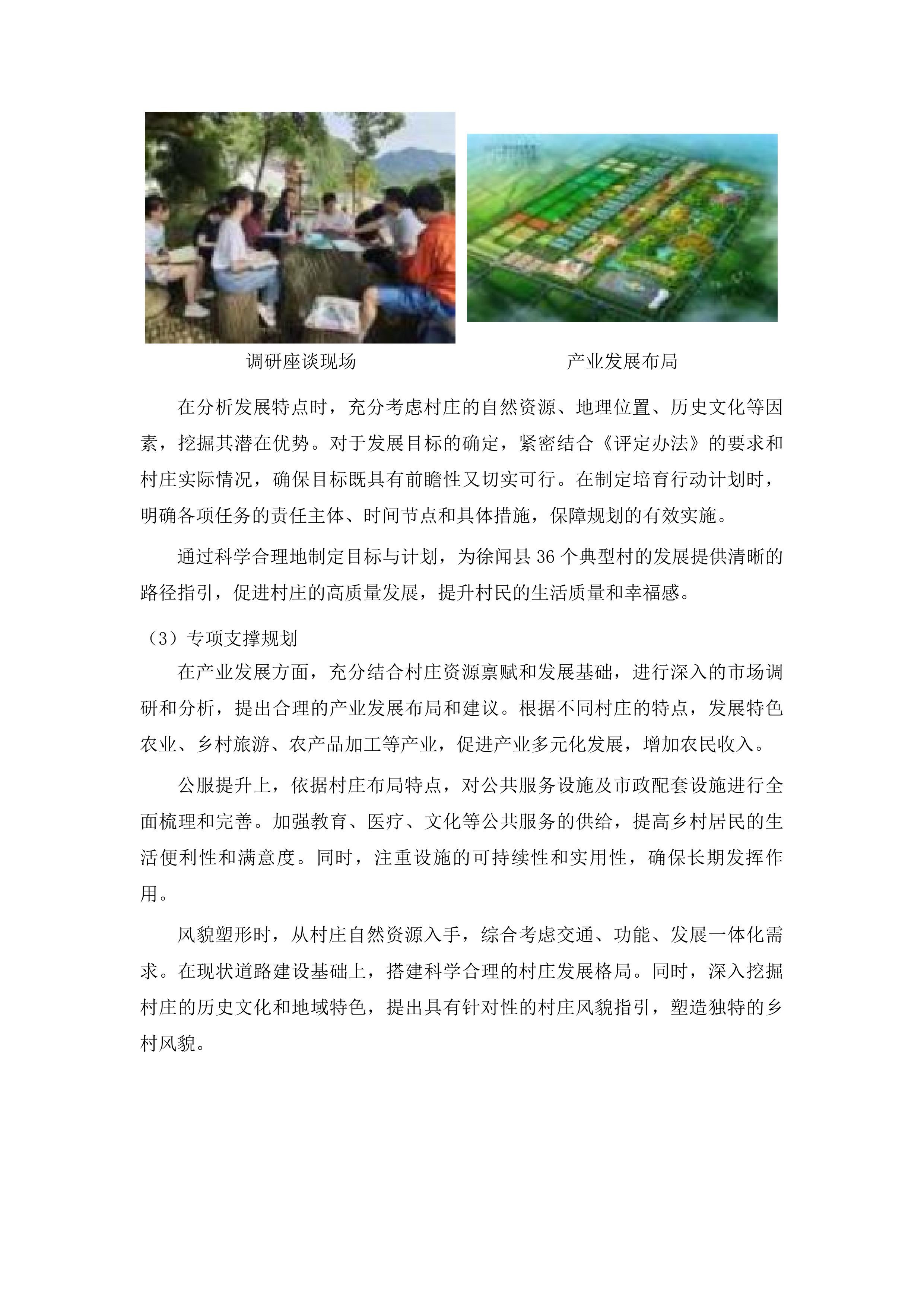 徐闻县第三批省级百县千镇万村高质量发展工程典型村建设规划编制投标方案.docx 第7页