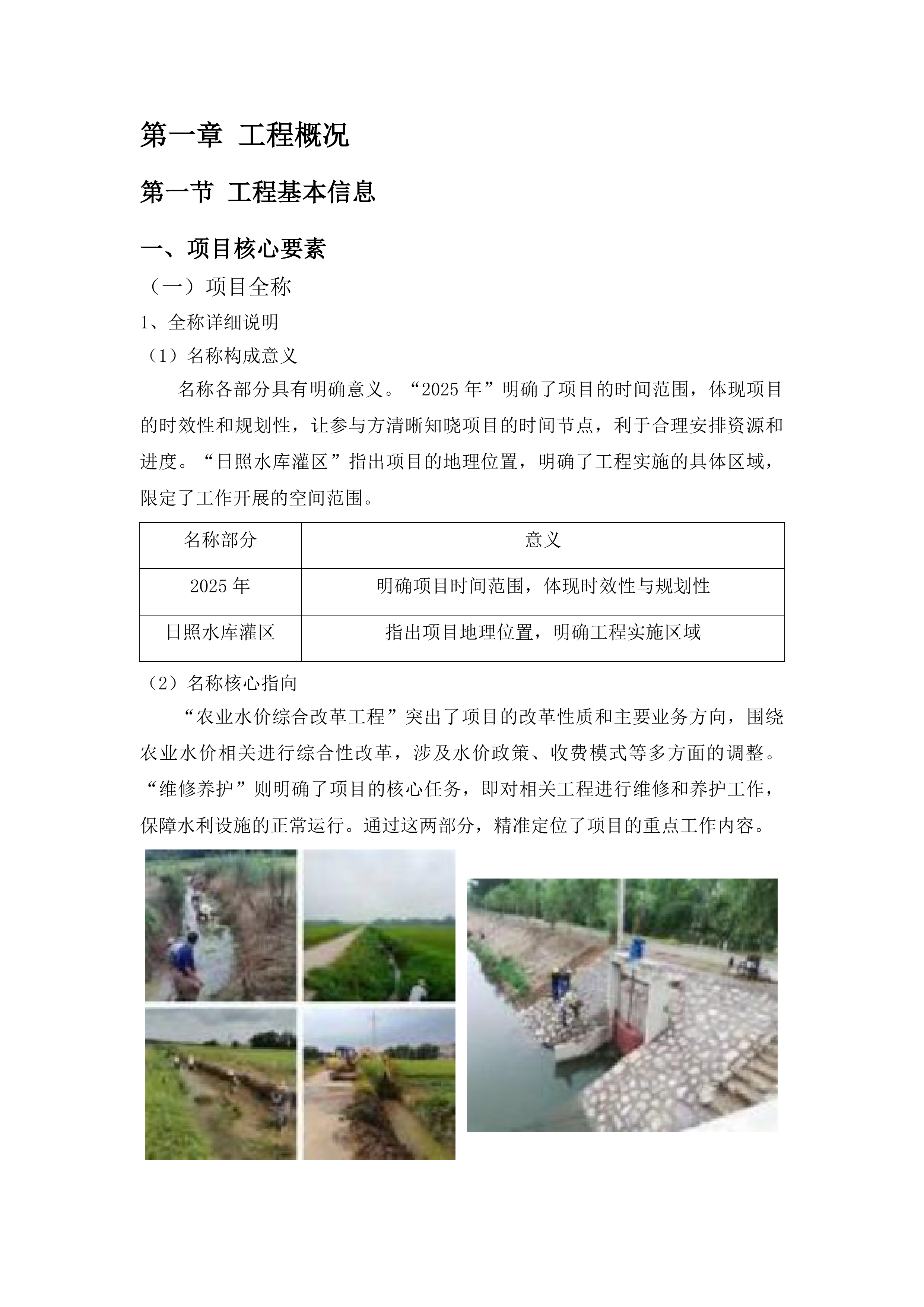 日照水库灌区农业水价综合改革工程维修养护项目投标方案.docx 第10页