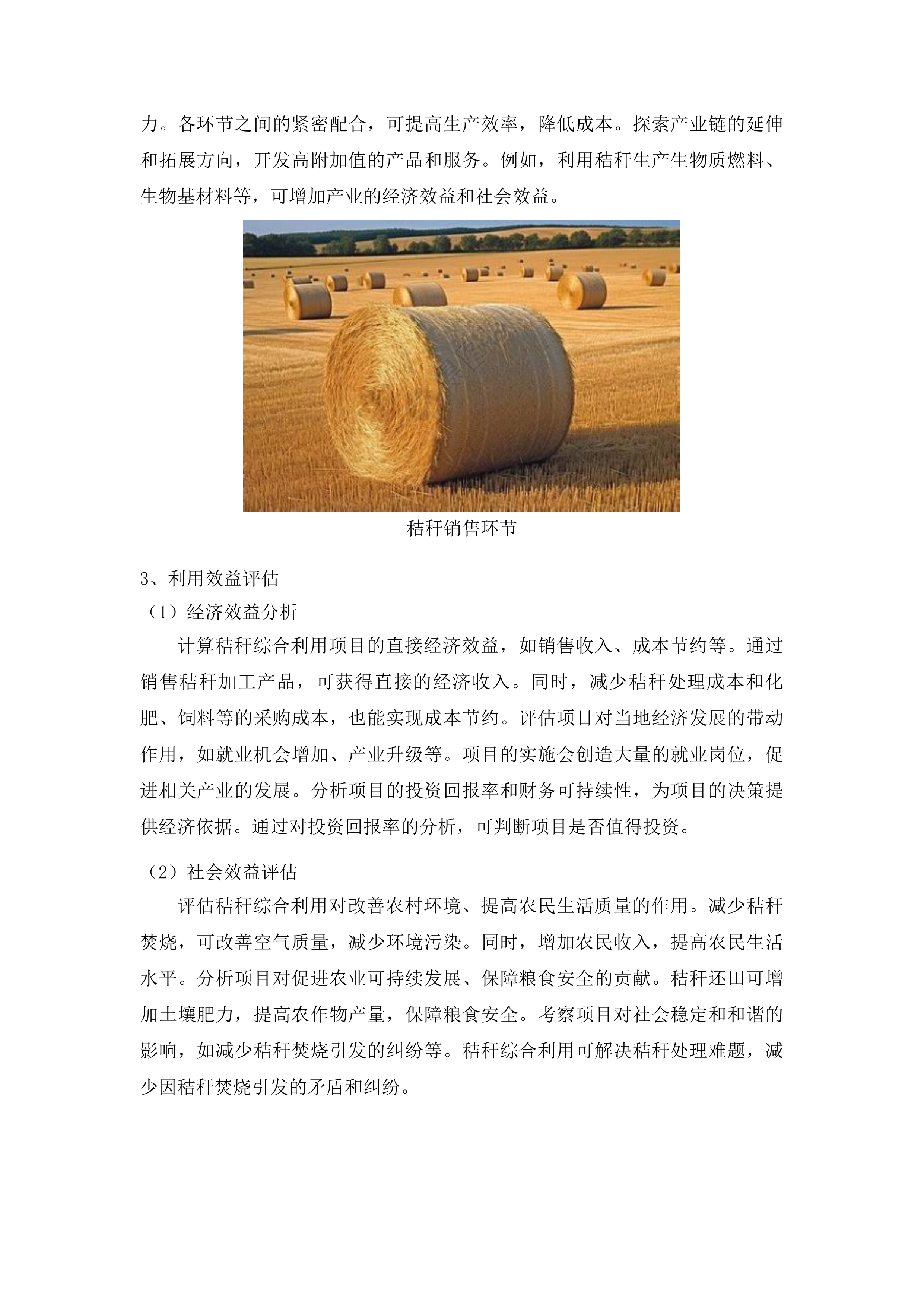 聊城市东昌府区2025年度秸秆综合利用重点项目腐熟剂采购投标方案.docx 第11页