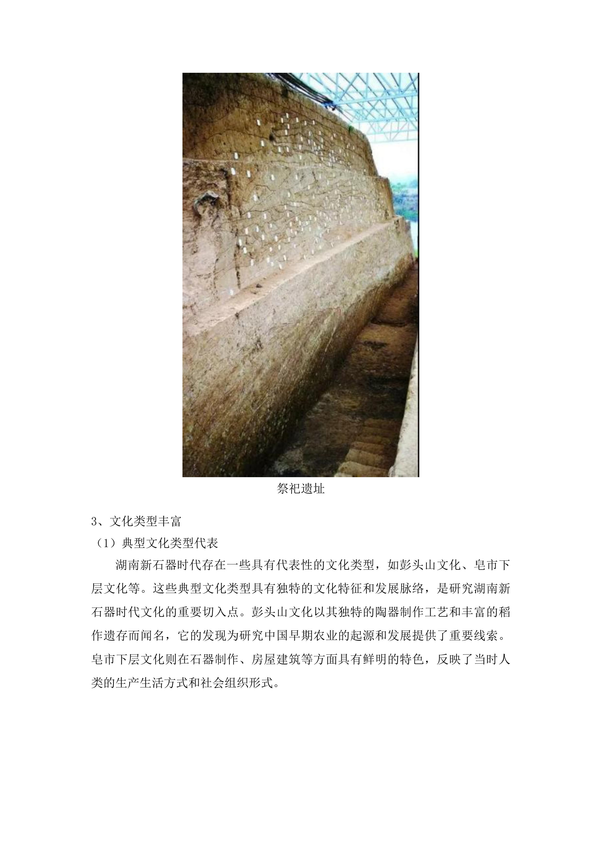 湖南“四普”重点项目普查的考古普探技术辅助服务投标方案.docx 第11页