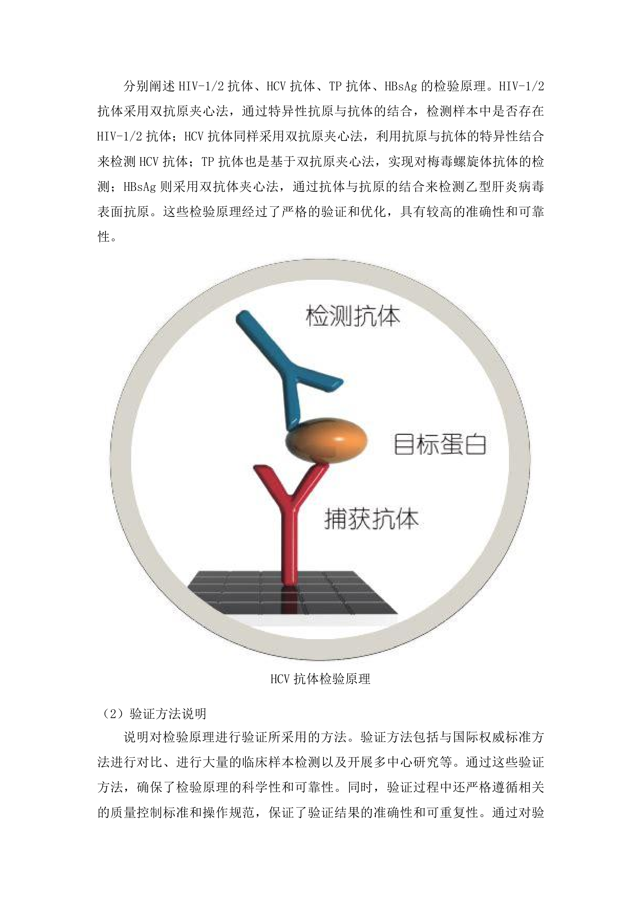 HIV-HCV-TP-HBsAg快速试剂等2项试剂耗材采购项目投标方案.docx 第11页