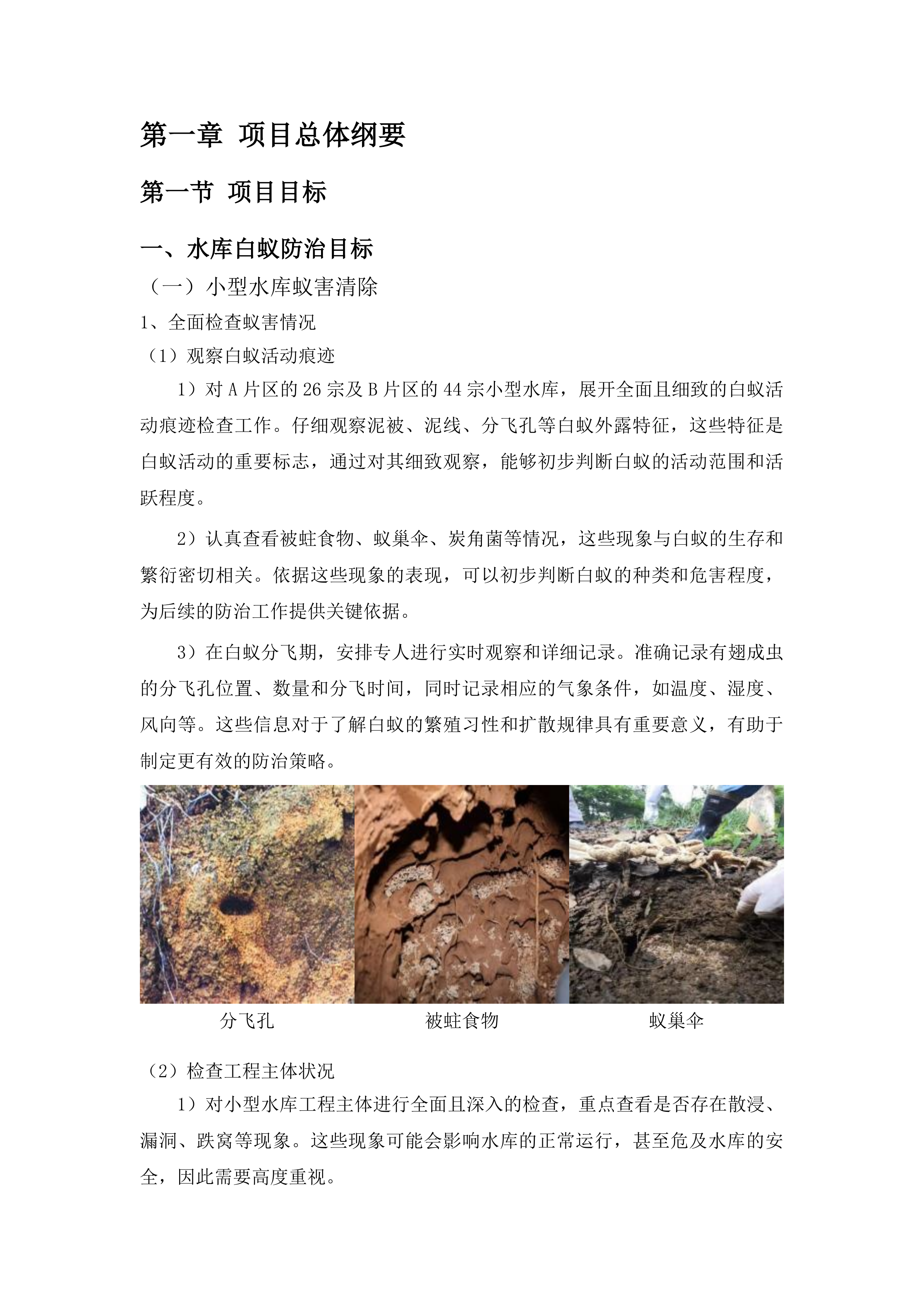 新会区白蚁等害堤动物防治项目投标方案.docx 第6页