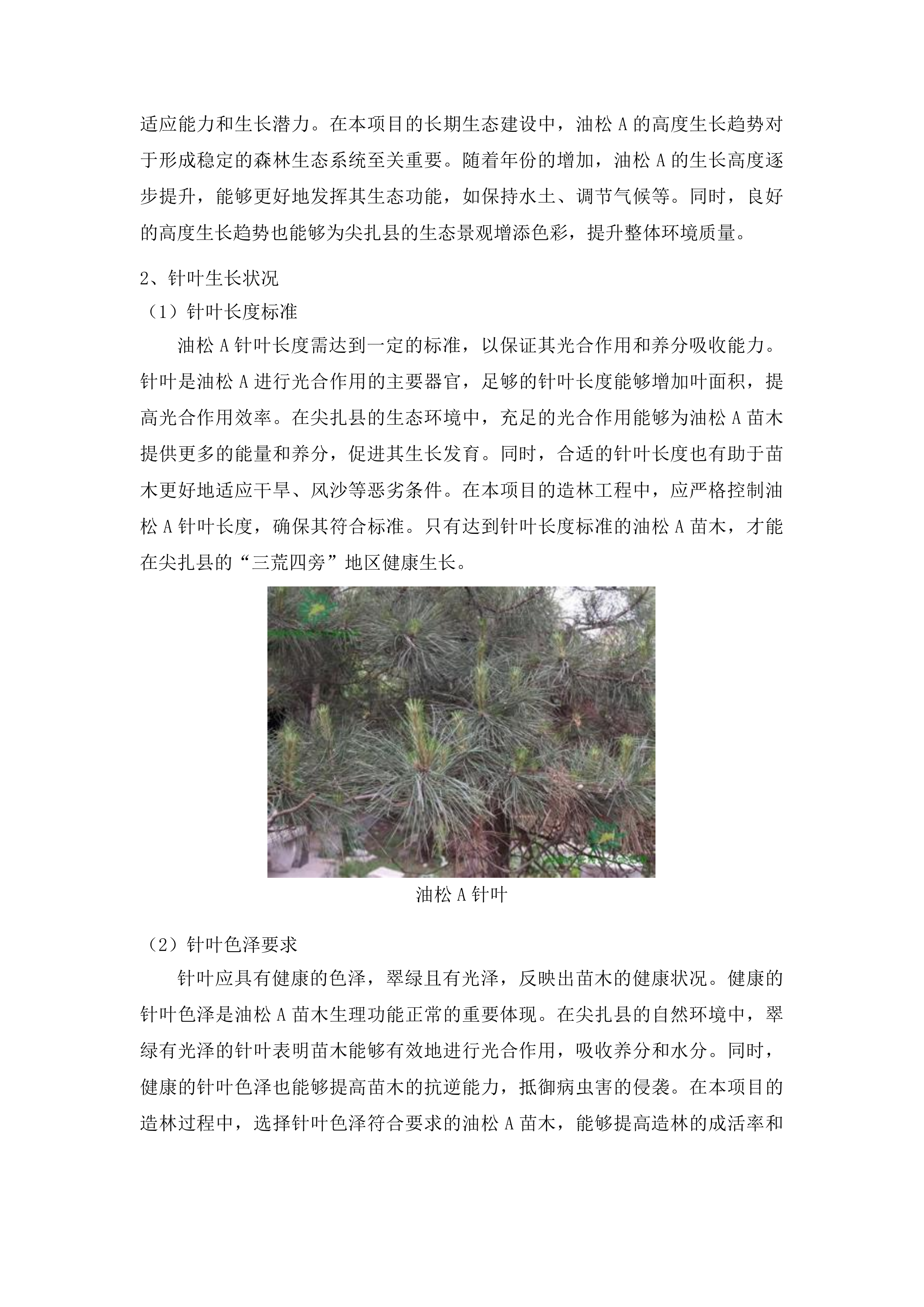 尖扎县“三荒四旁”植树造林及提升改造项目投标方案.docx 第15页