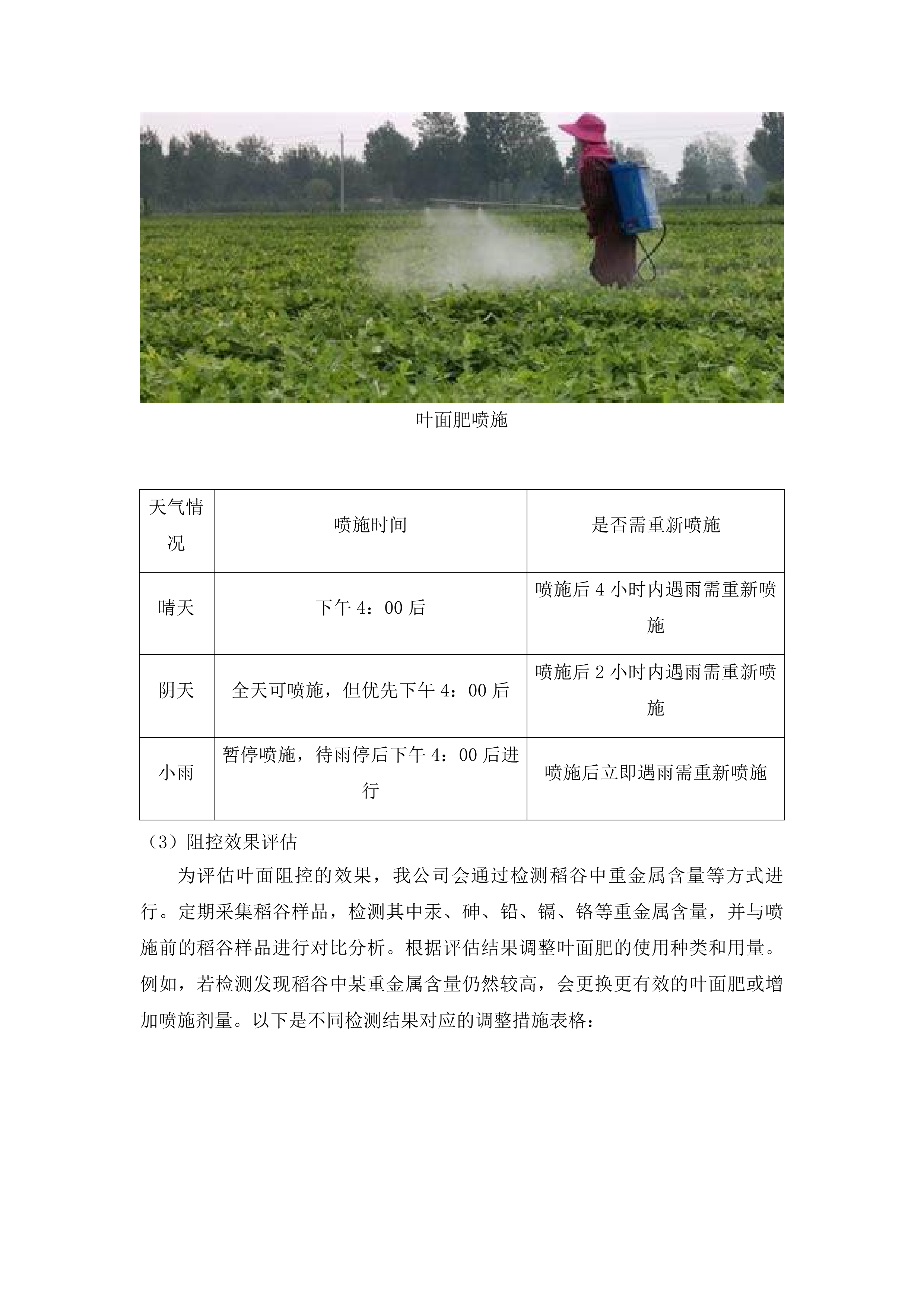 梧州市2025年生产障碍耕地治理项目投标方案.docx 第12页