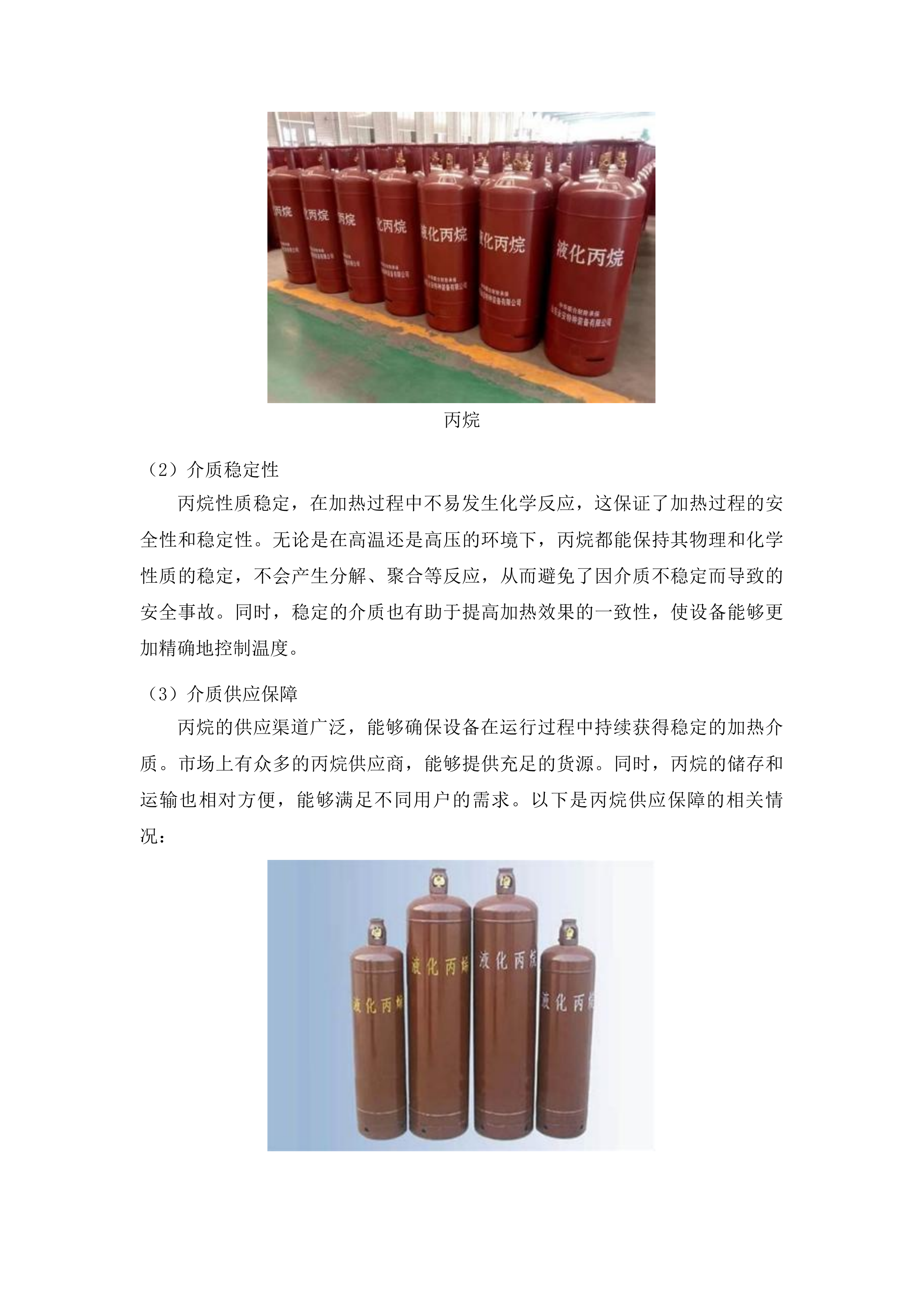 山东石油化工学院电烯氢中试设备采购项目投标方案.docx 第12页