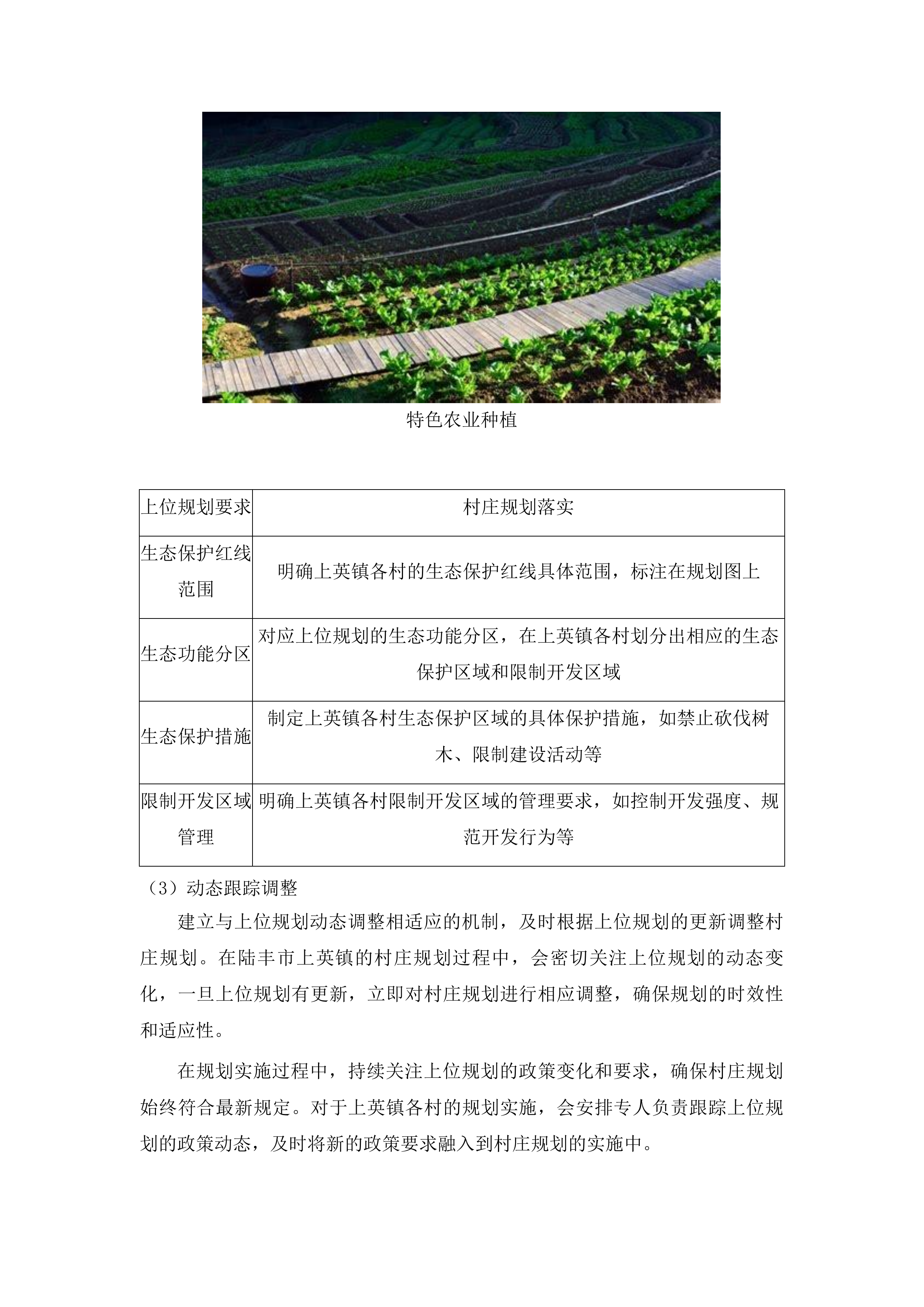 陆丰市上英镇各村村庄规划编制项目投标方案.docx 第7页