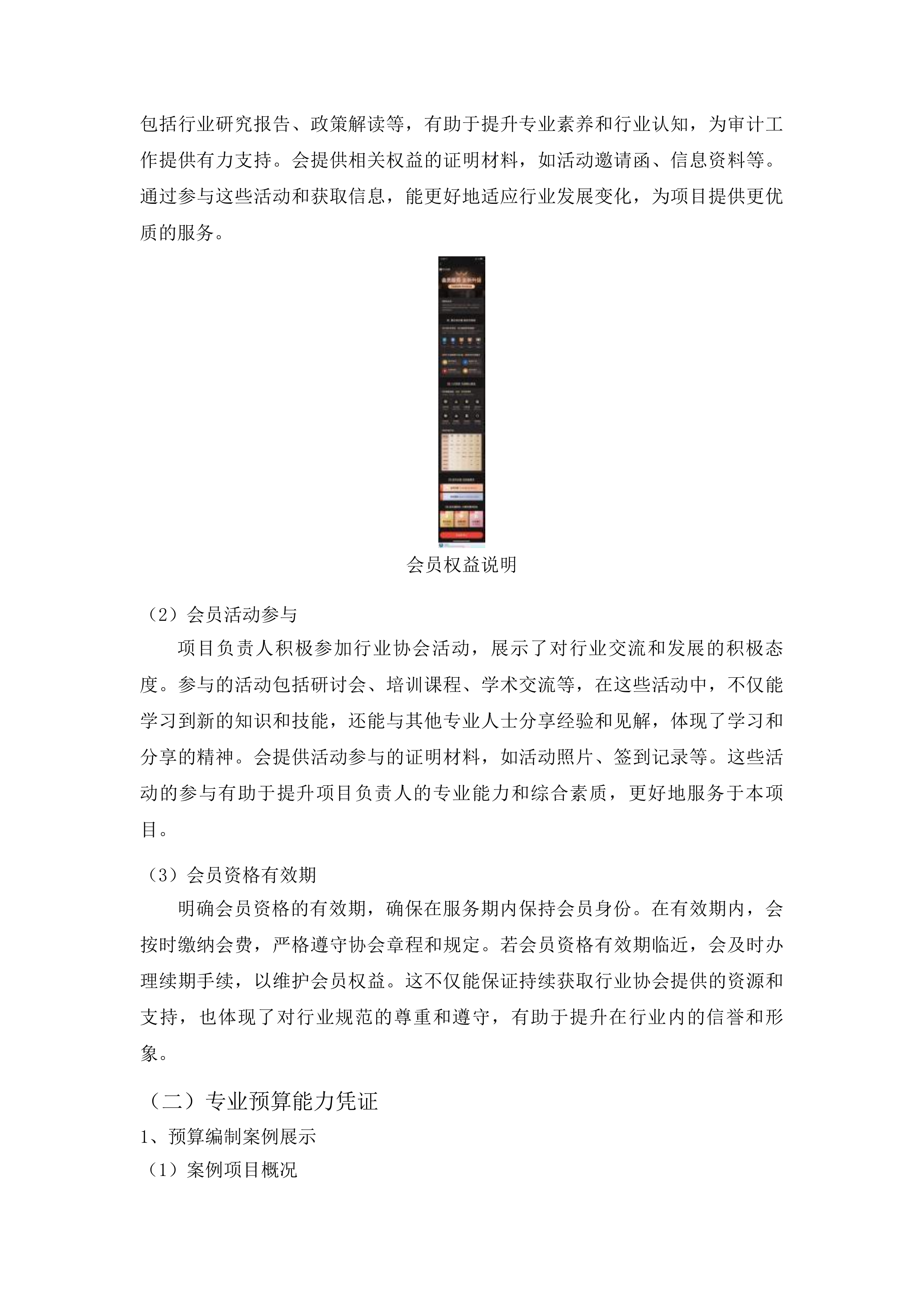 2025-2026年度信息化项目委托审计服务项目投标方案.docx 第11页