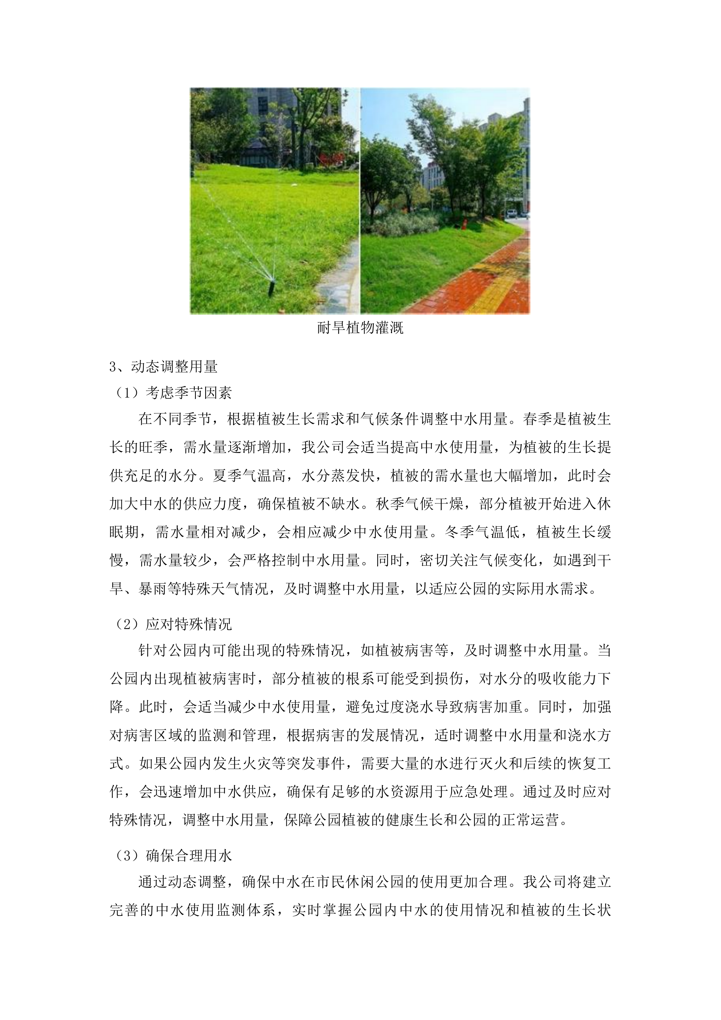 2025-2028年度城南中央文化公园和市民休闲公园绿化养护服务项目投标方案.docx 第11页