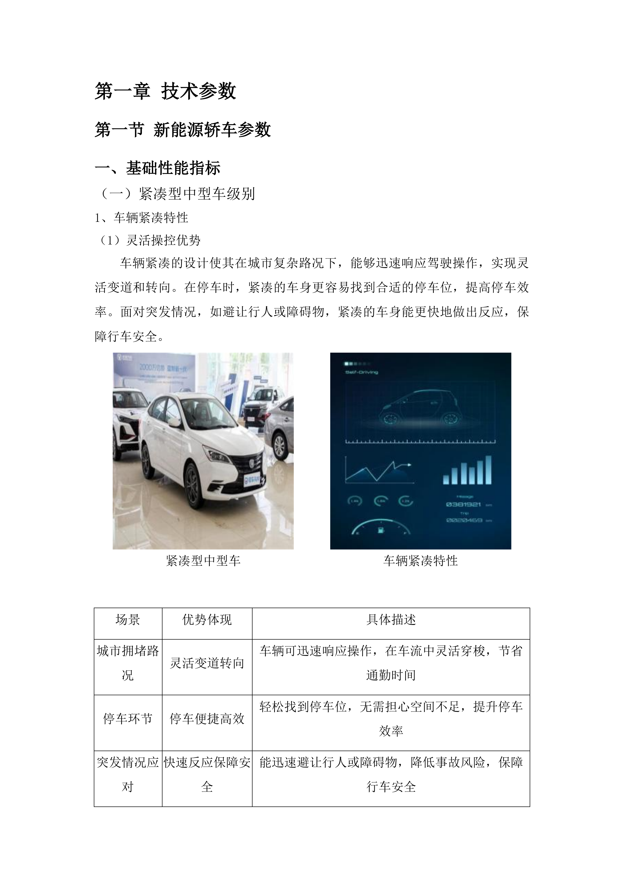 公务用车采购项目投标方案.docx 第6页