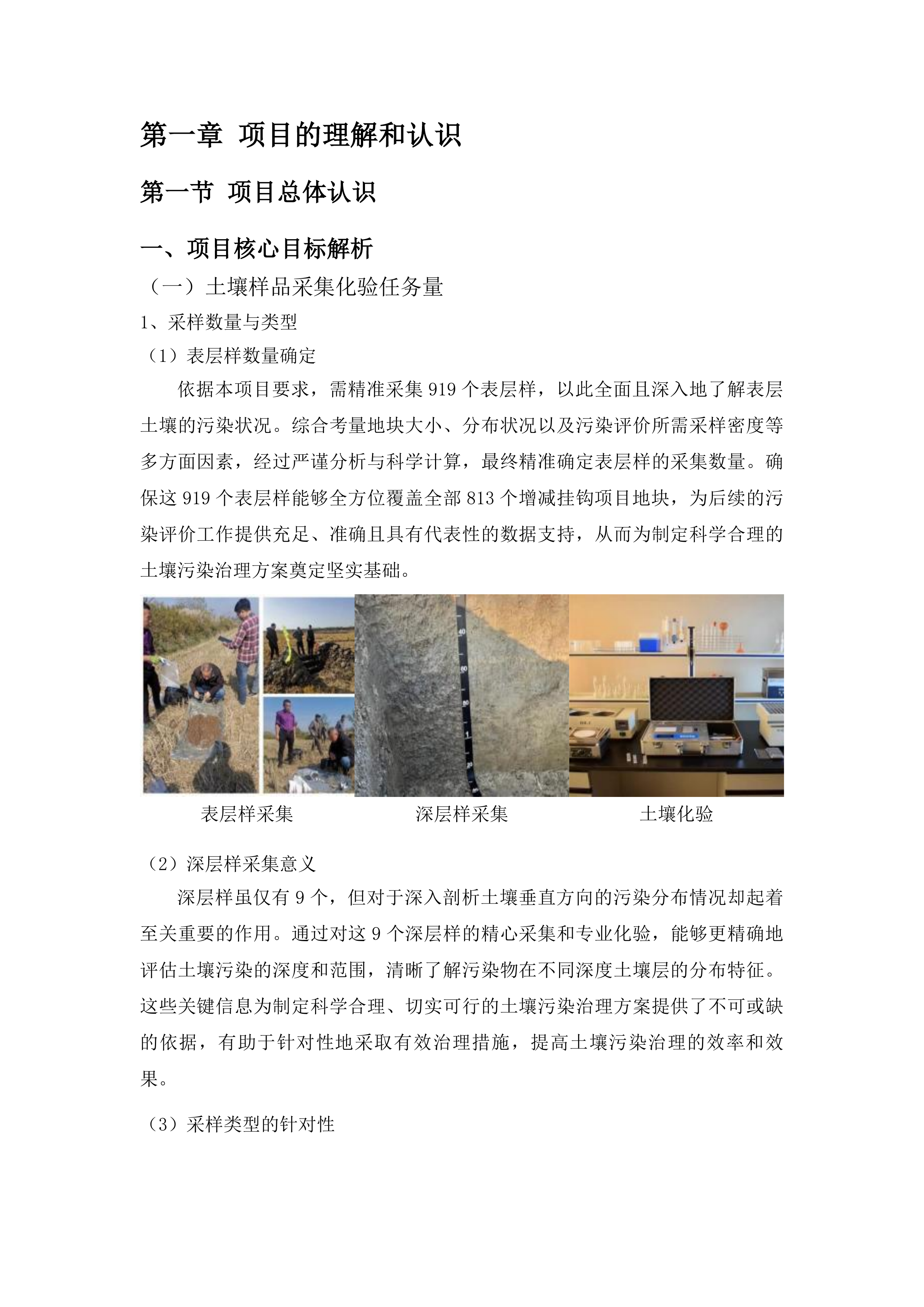 禹城市农业农村局2025年拟开垦耕地土壤污染状况调查和分类管理项目投标方案.docx 第8页