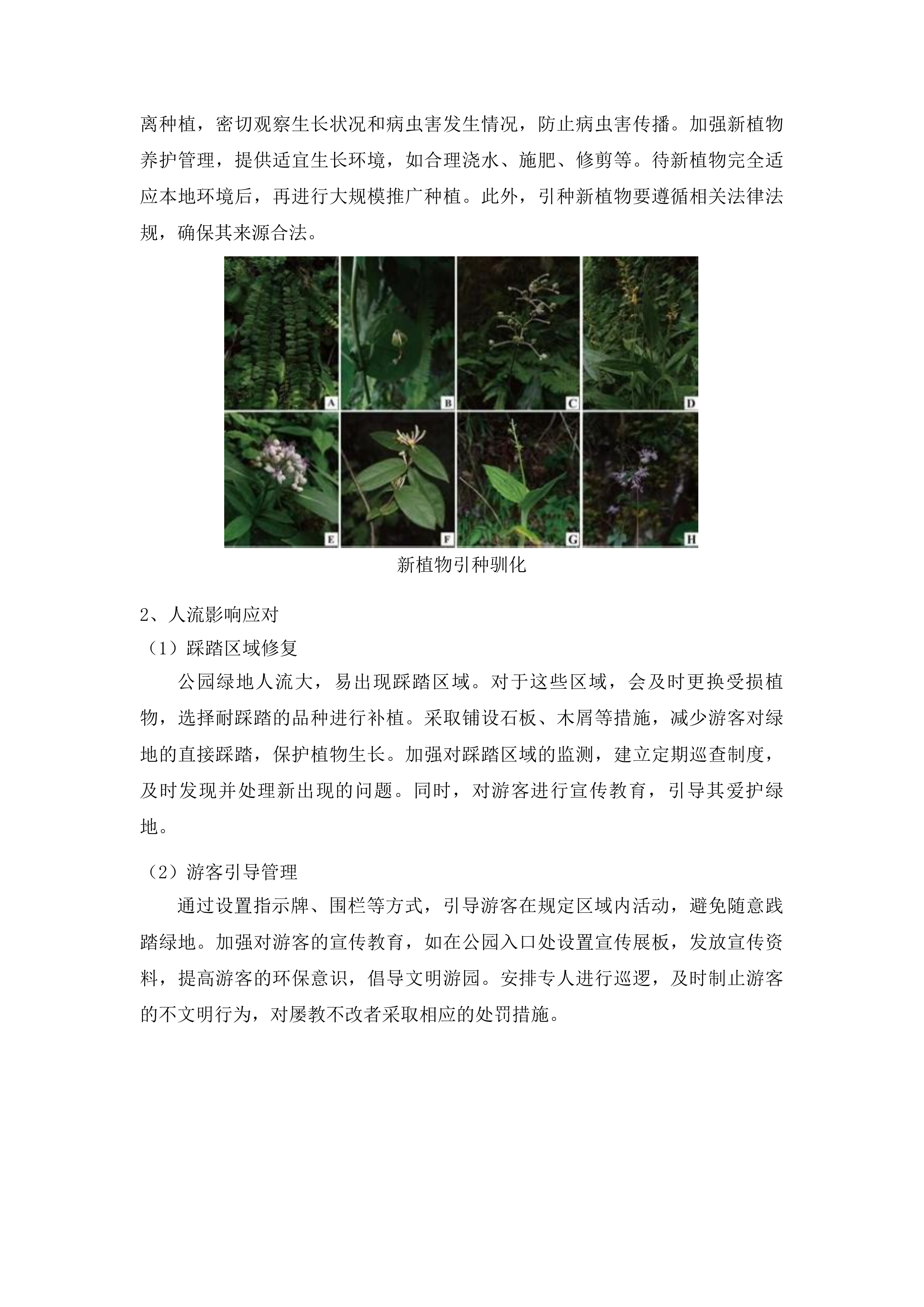 甘州区城市园林绿化中心2025-2028年度城区绿化养护及补植服务项目投标方案.docx 第12页