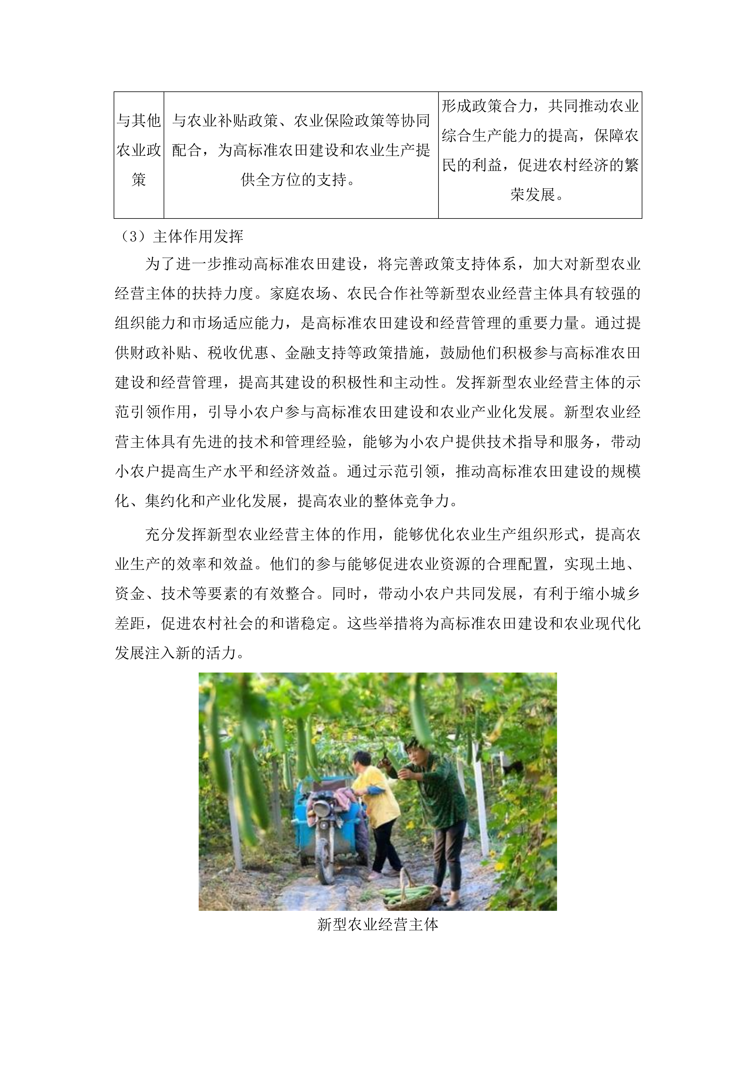 农安县2025年高标准农田建设项目超长期特别国债档案管理投标方案.docx 第10页