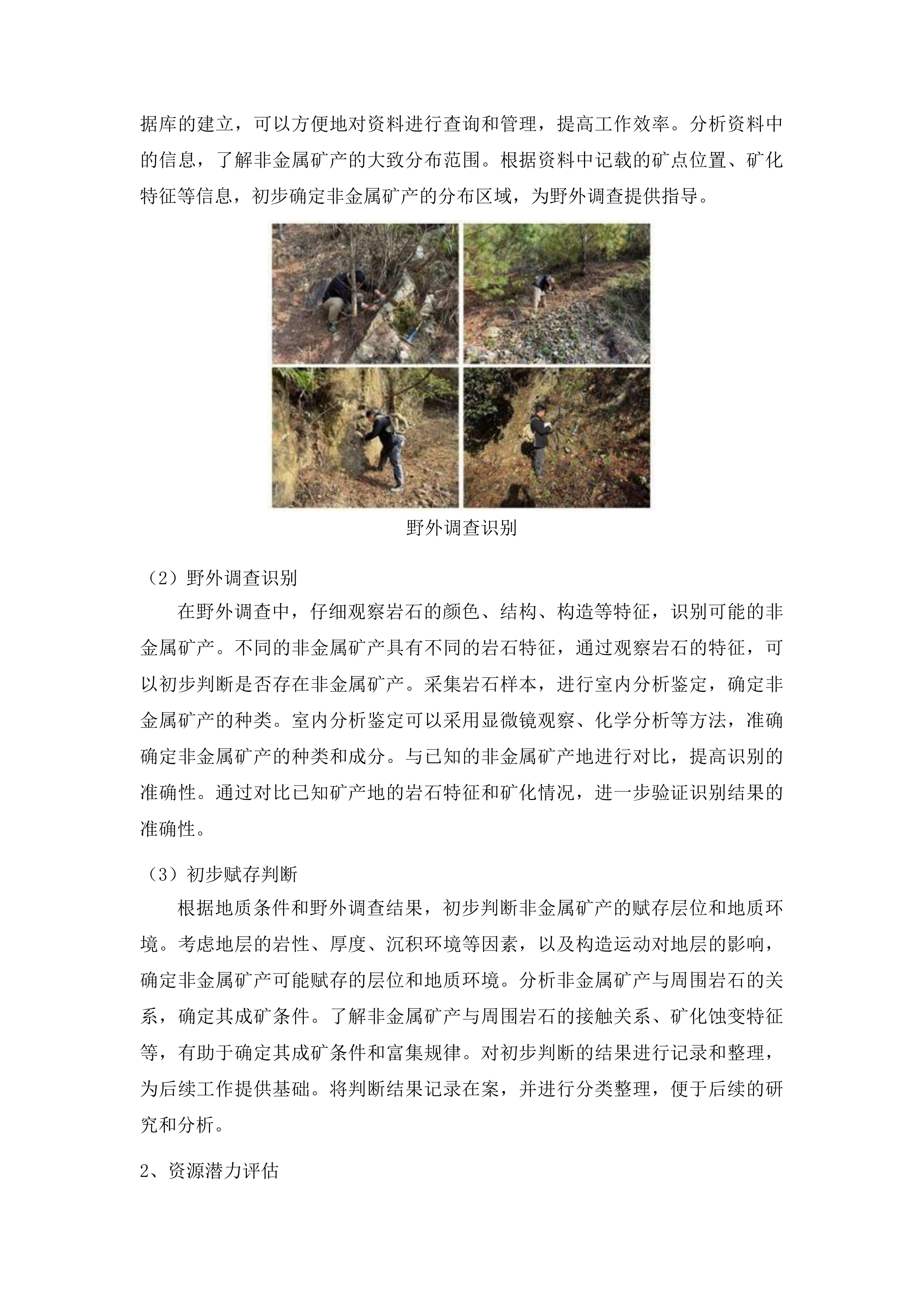 上川镇矿产远景调查项目投标方案.docx 第11页